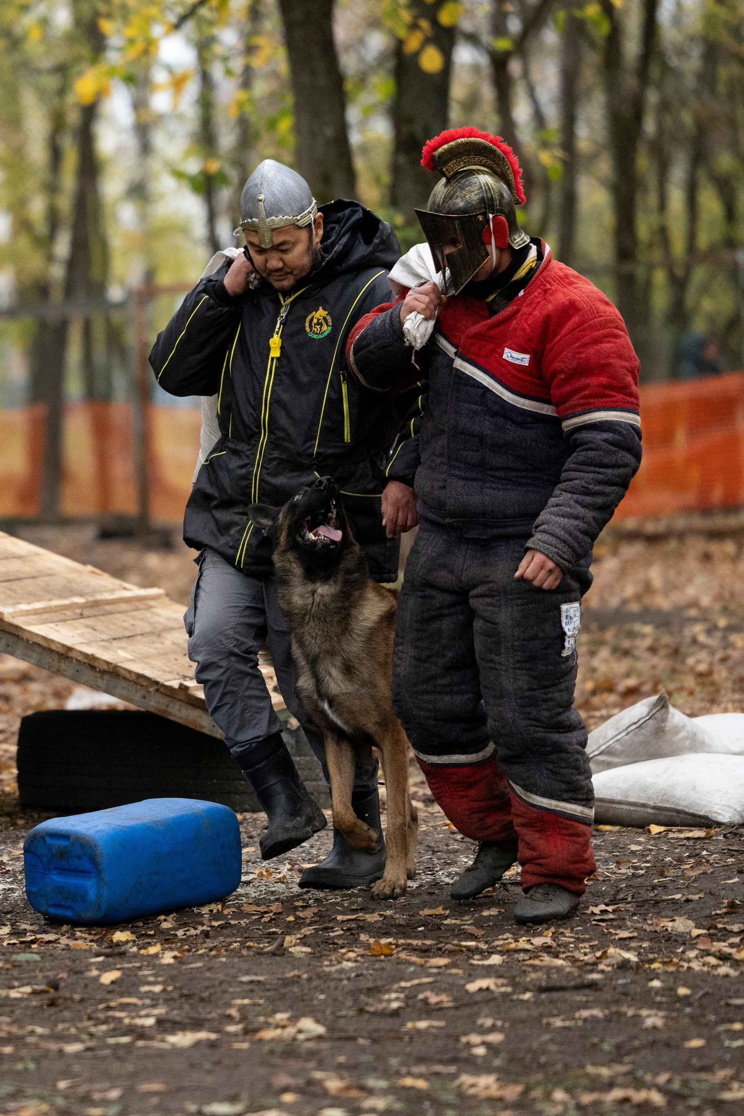 Соревнования по Мондьорингу г. Вологда. Фотограф-анималист Анна Маринич