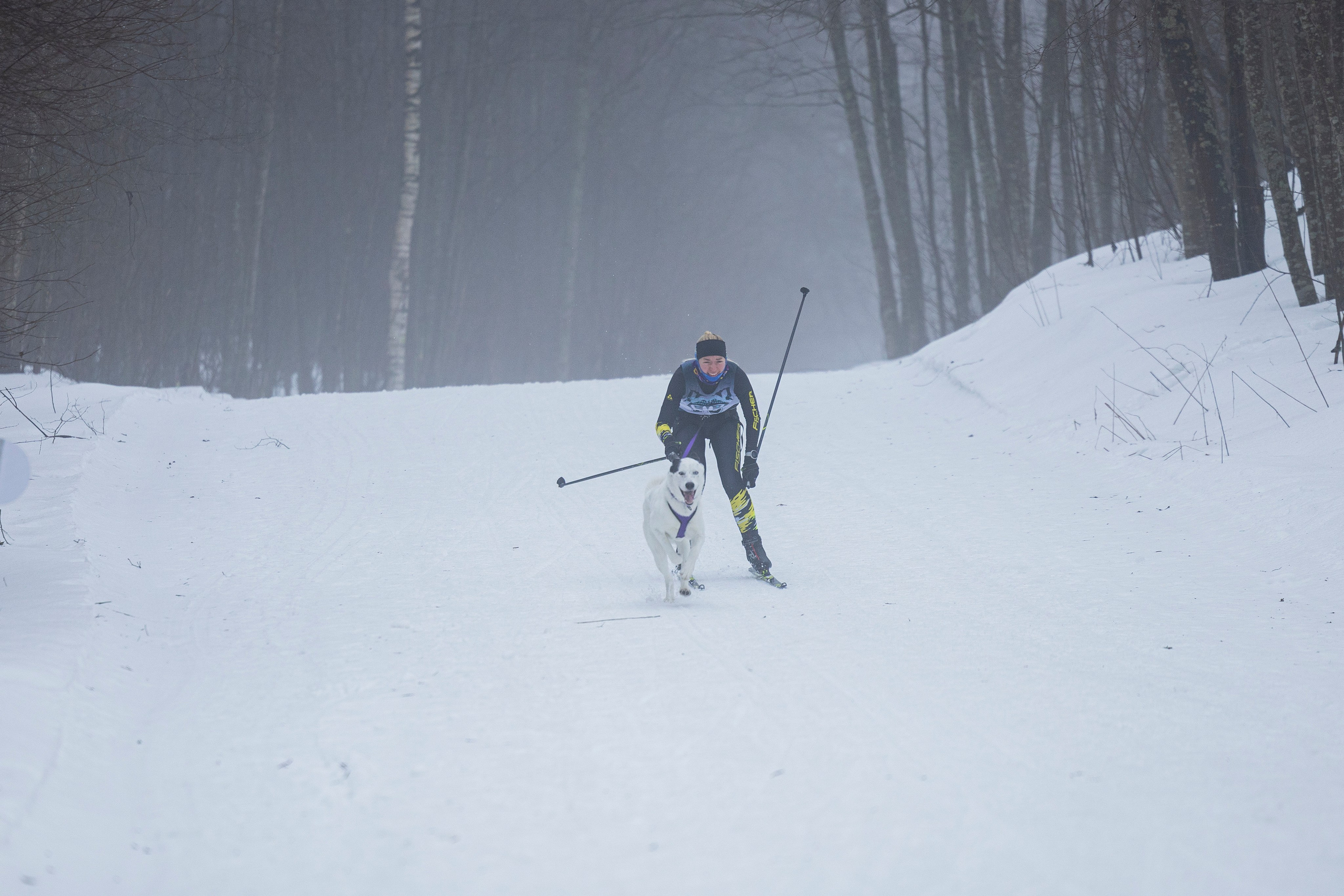 Зимний Чемпионат Санкт-Петербурга по ездовому спорту. Фотограф-анималист Анна Маринич