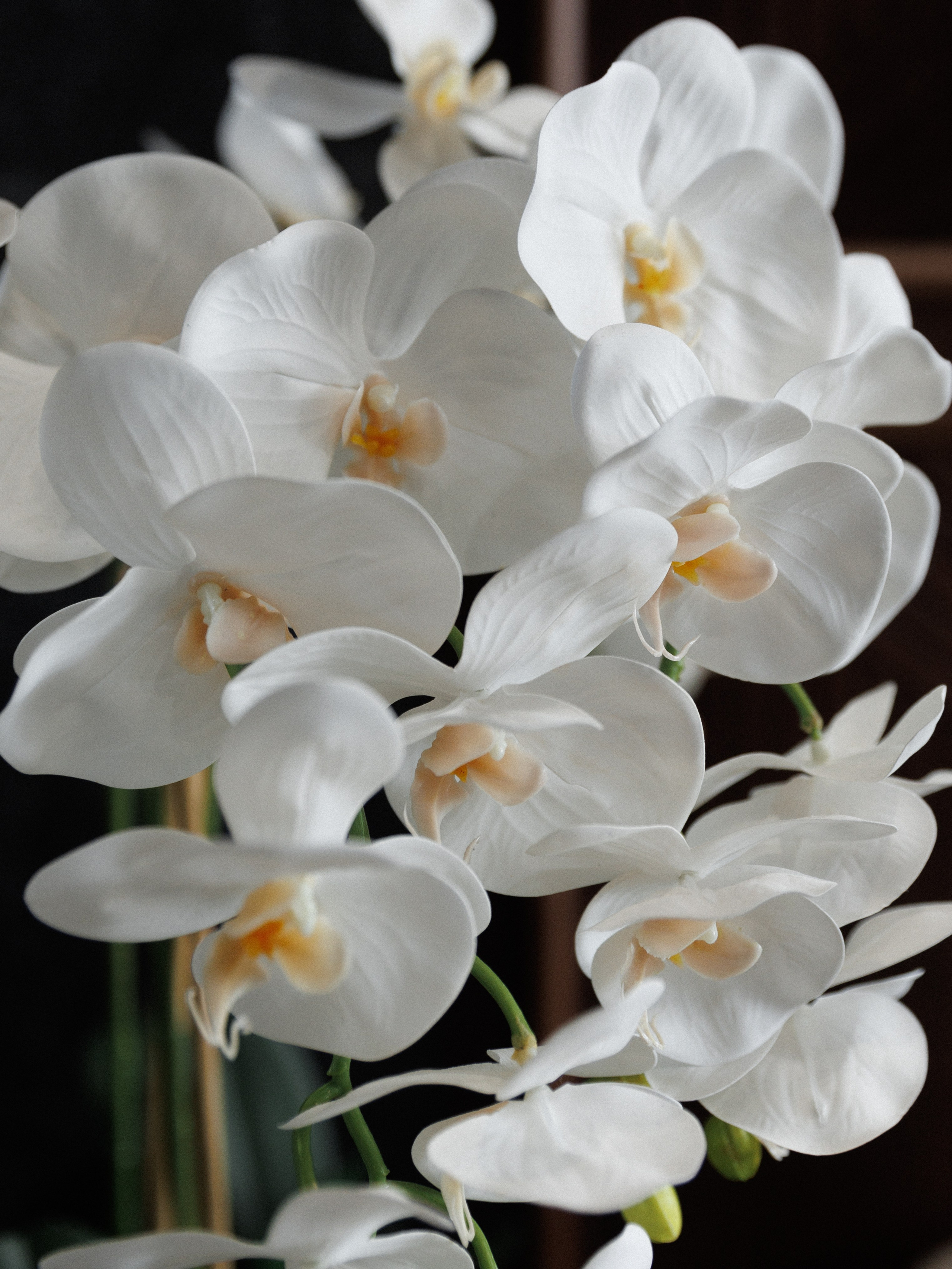 Роман&Анастасия. Свадебный и семейный фотограф в Таганроге и Ростове Руднева Анастасия