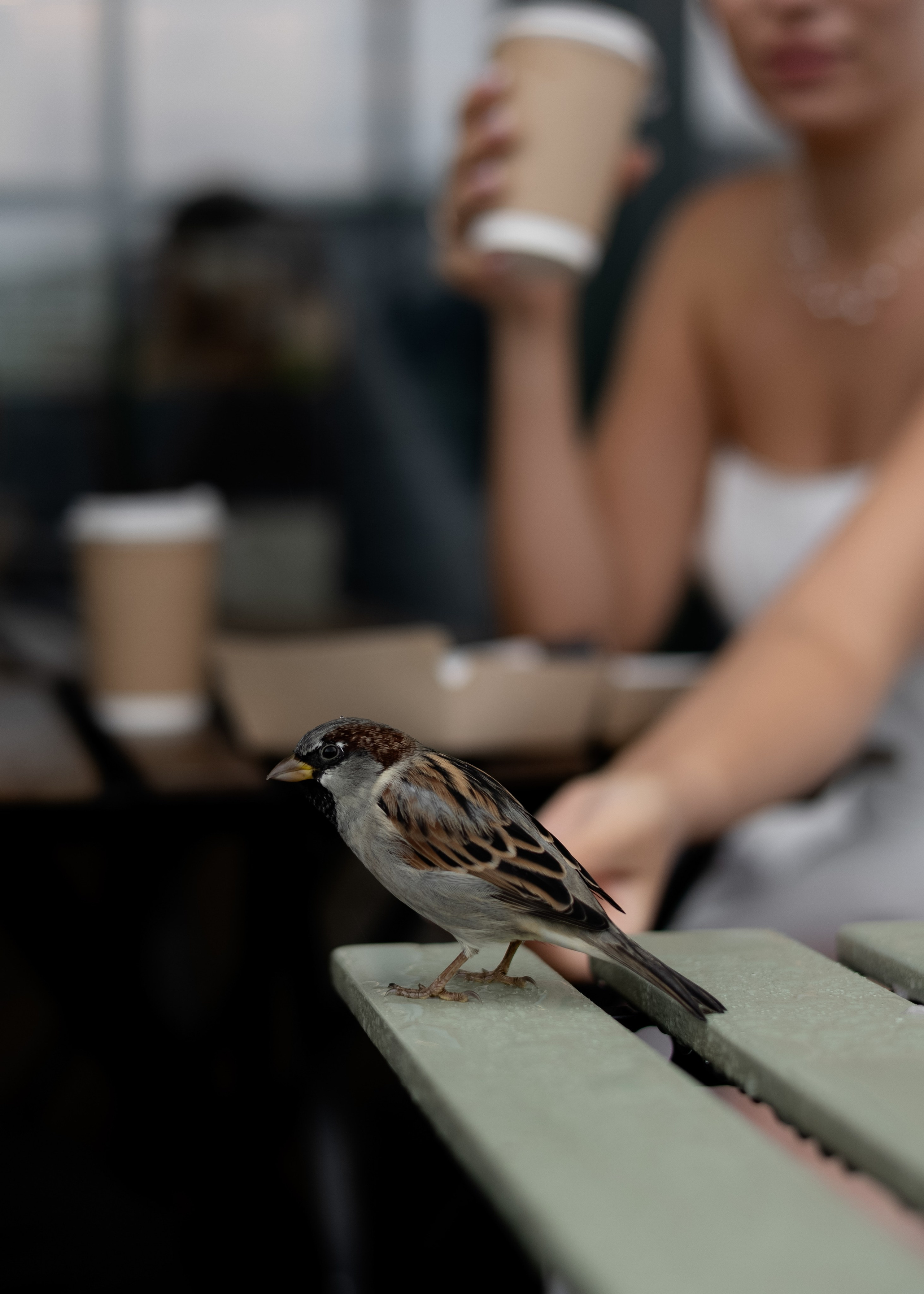 Свадьба Татьяна & Алексей | под дождем на острове Канта. Фотограф в Калининграде Сокирко Светлана