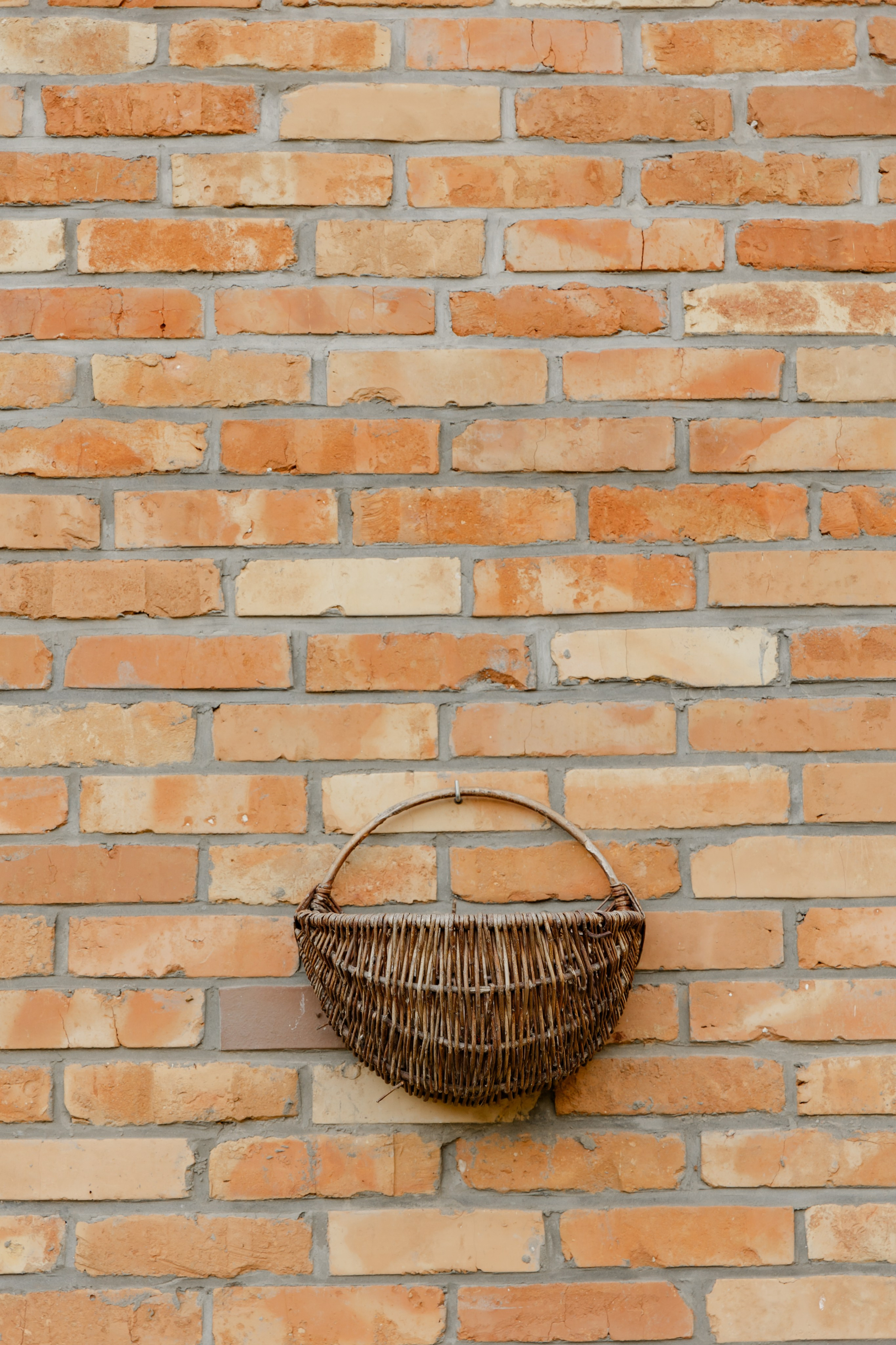 Виноградники. Dima Lemeshevsky