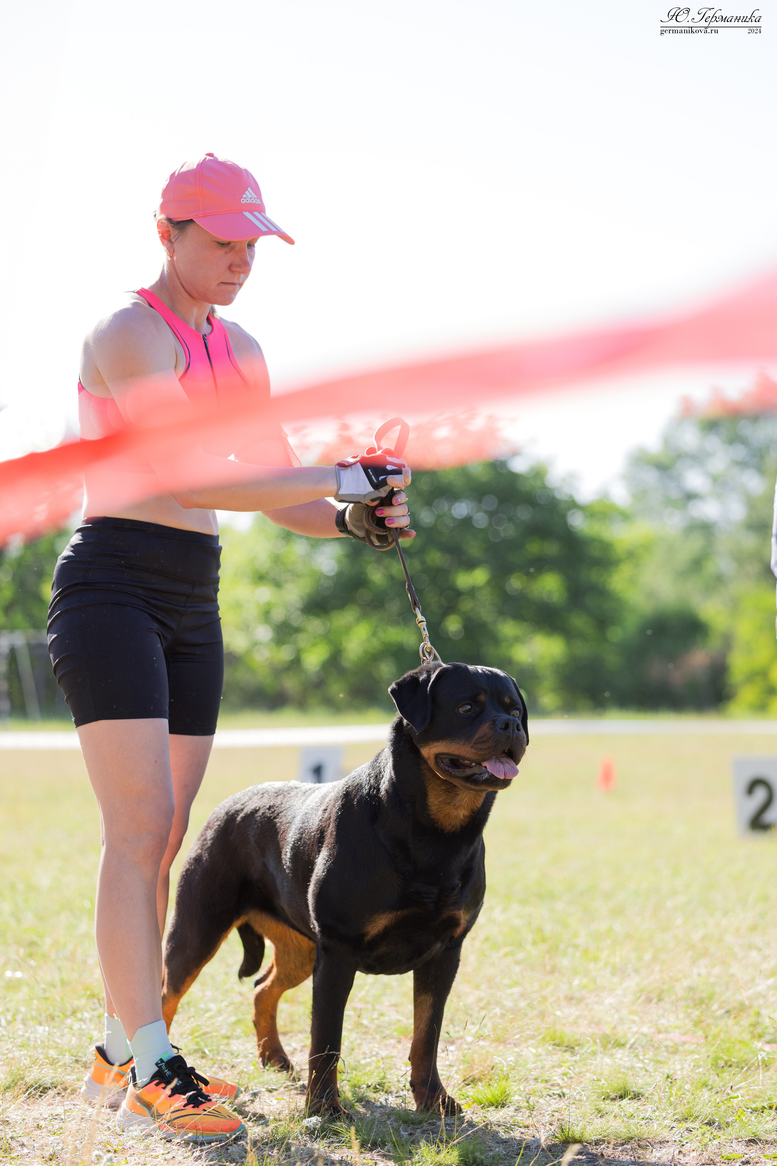 Воронеж моно ротвейлеров 25-26.05.2024. Фотограф-анималист Юлия Германика