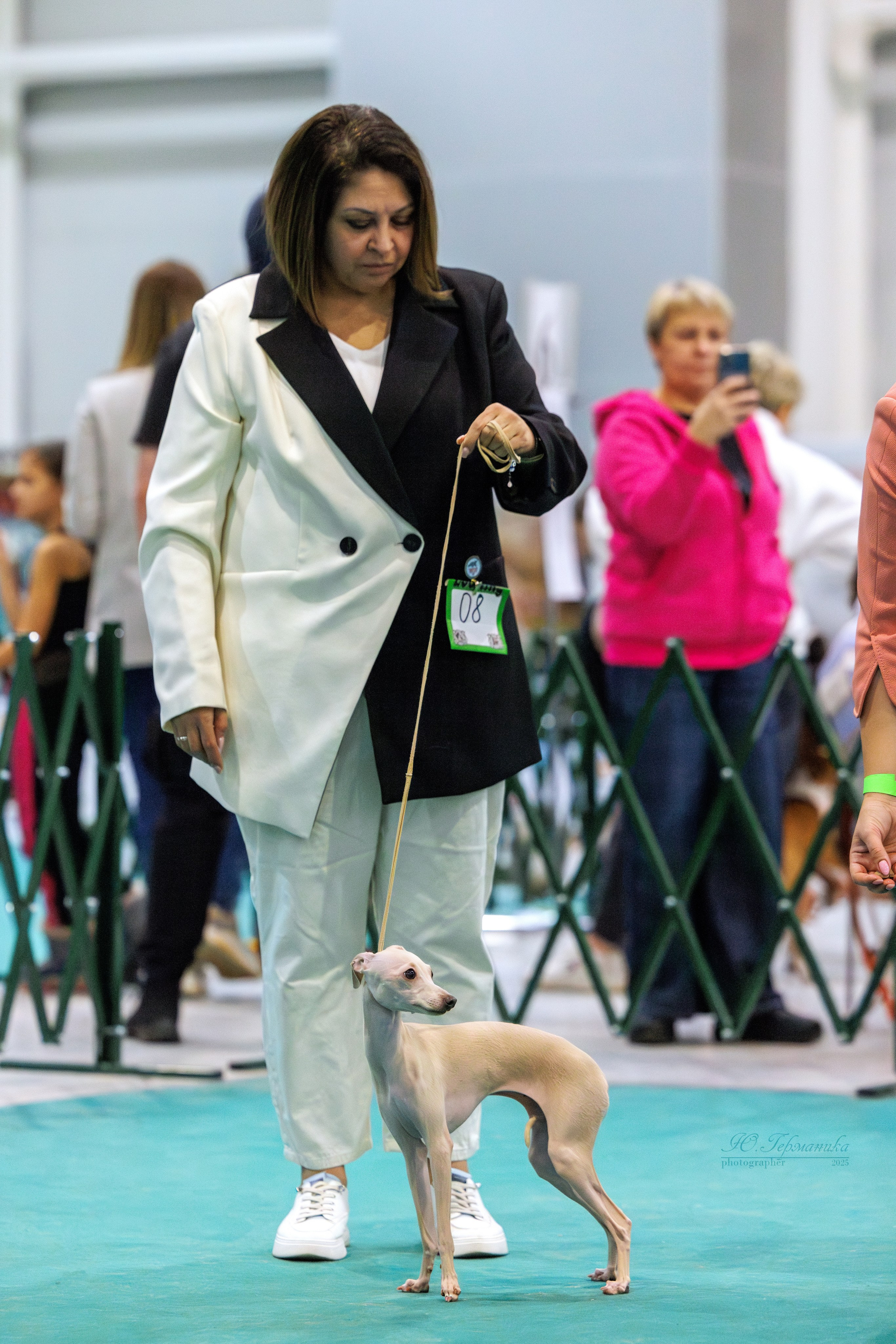 Питер ротвейлеры 18.01,Крокус 19.01.2025. Фотограф-анималист Юлия Германика