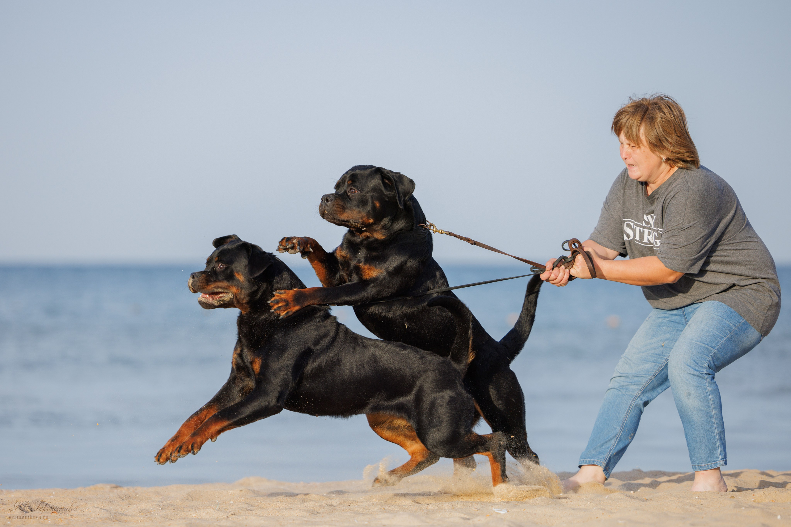 Свободная съемка. Фотограф-анималист Юлия Германика