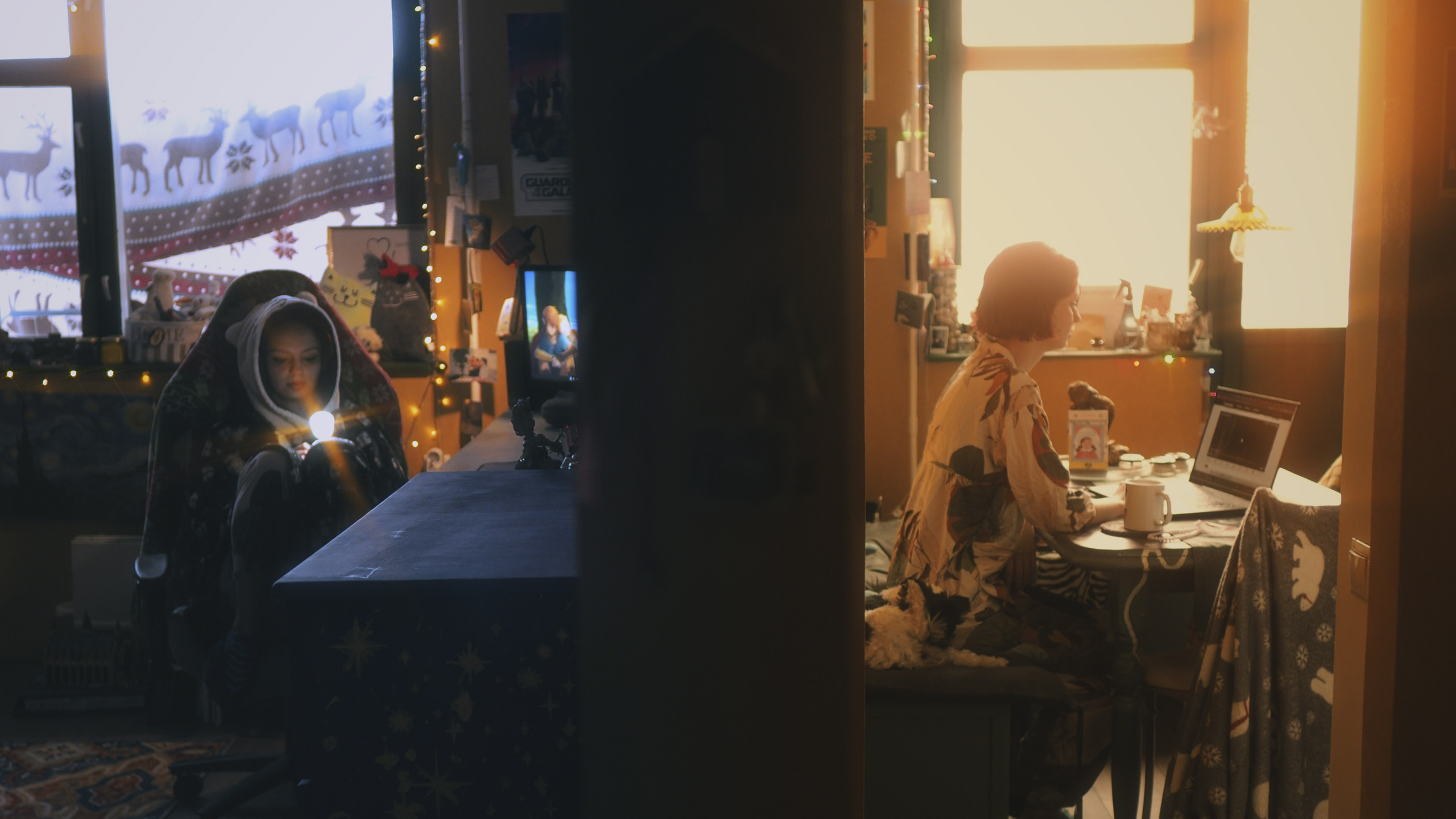 О биполярном расстройстве. Фёдор Малюгин. Ваш бади в визуале