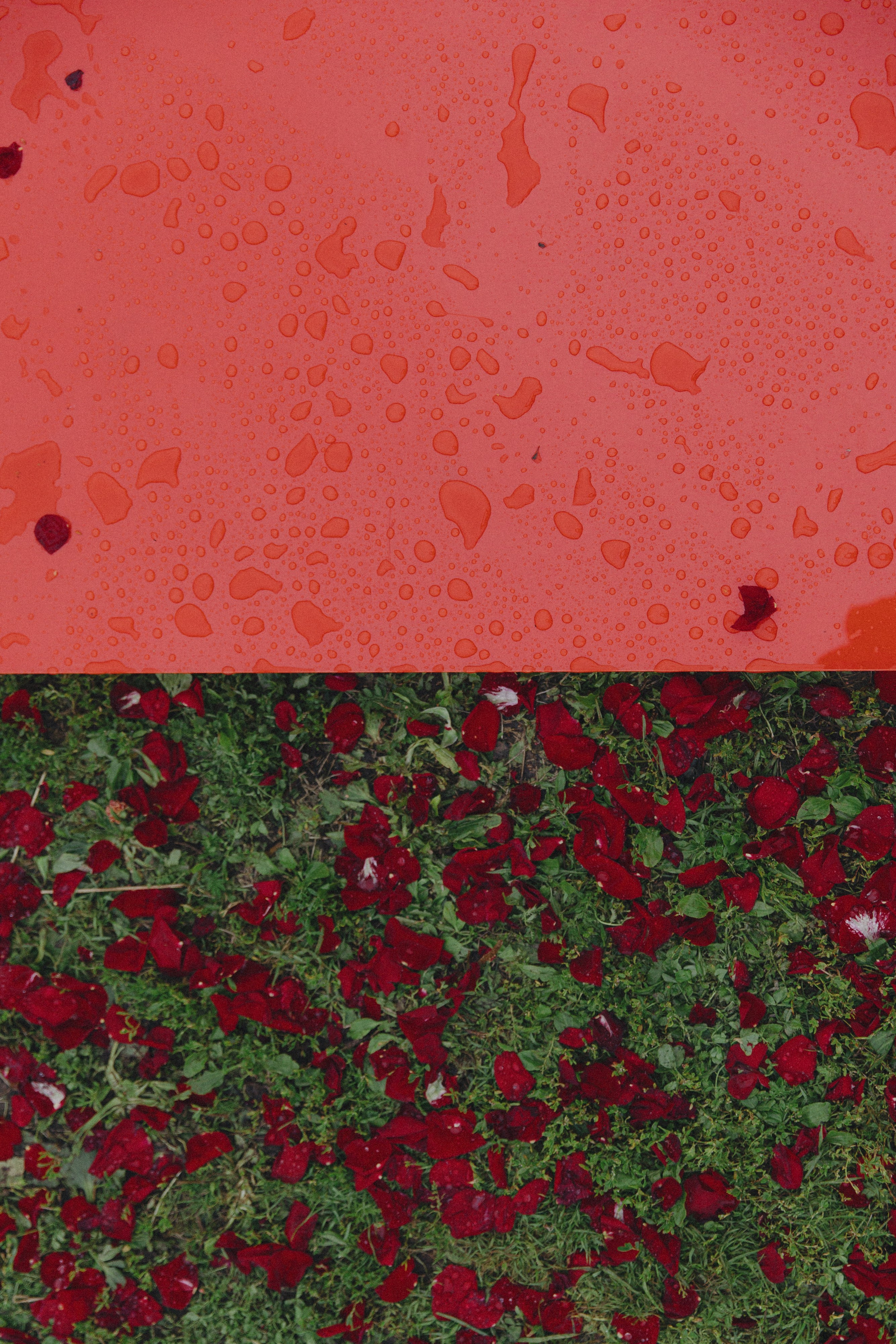 Анонс отчетника для свадебного агентства It's a match. Свадебный фотограф Колесников Антон