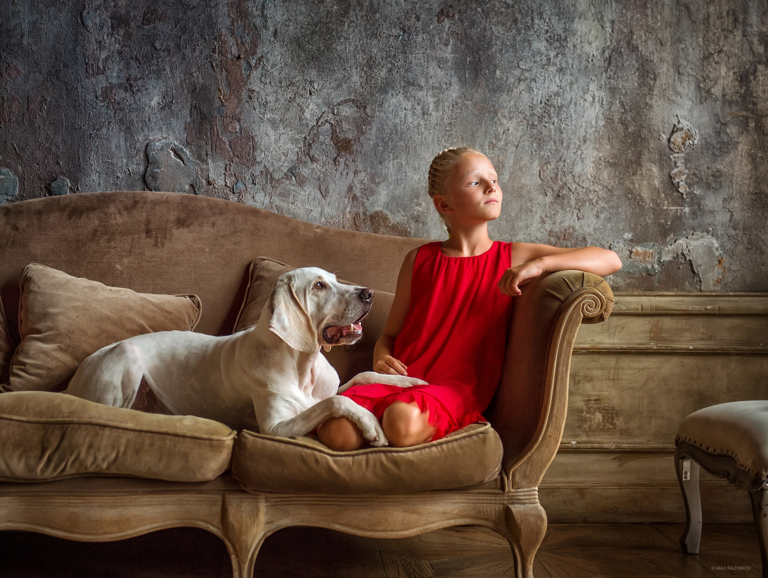 Фото с домашними питомцами. Портретная и свадебная фотосъемка. Москва и область