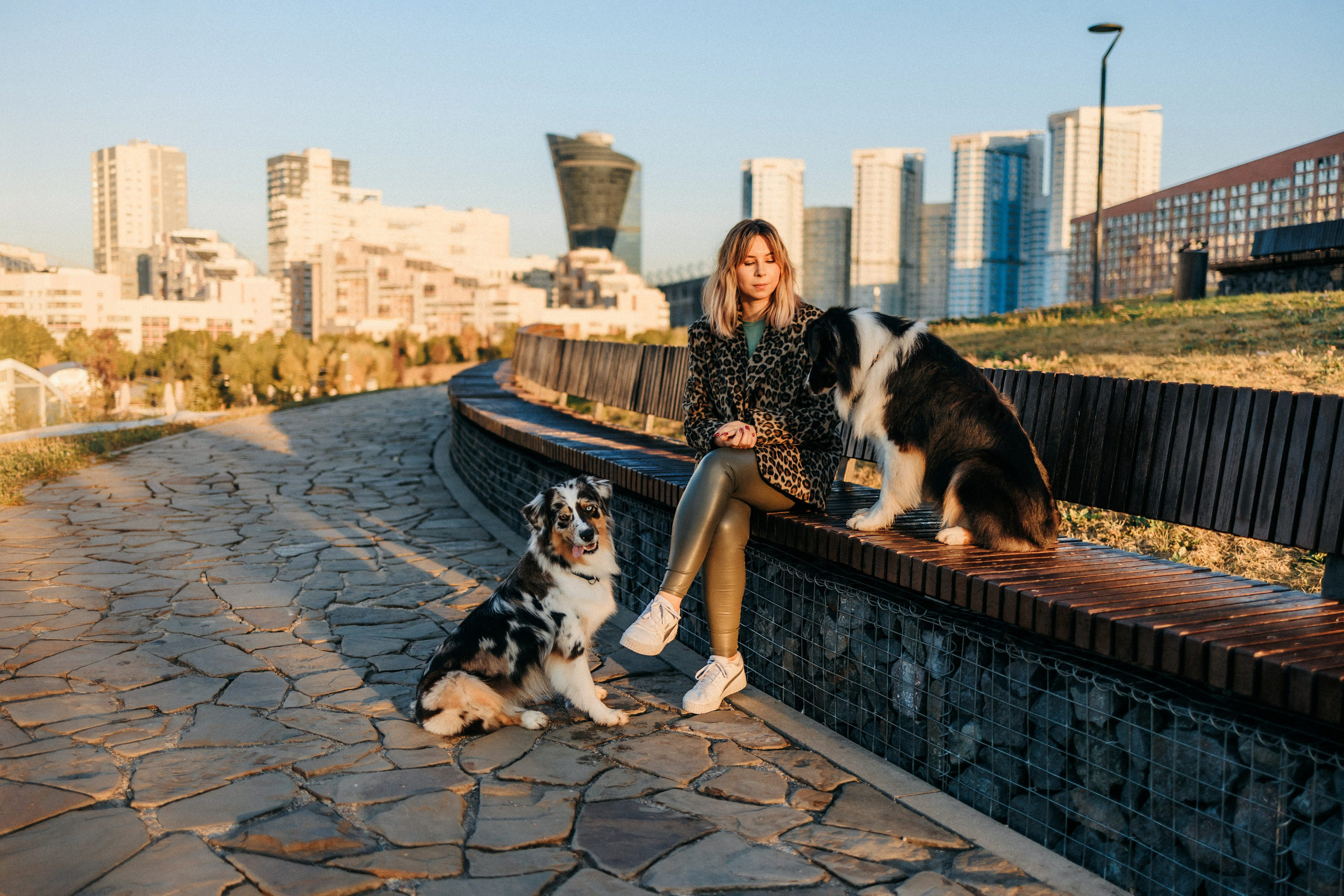 Аня, Чарли и Ева. Фотограф-анималист Елена Радченко, Москва