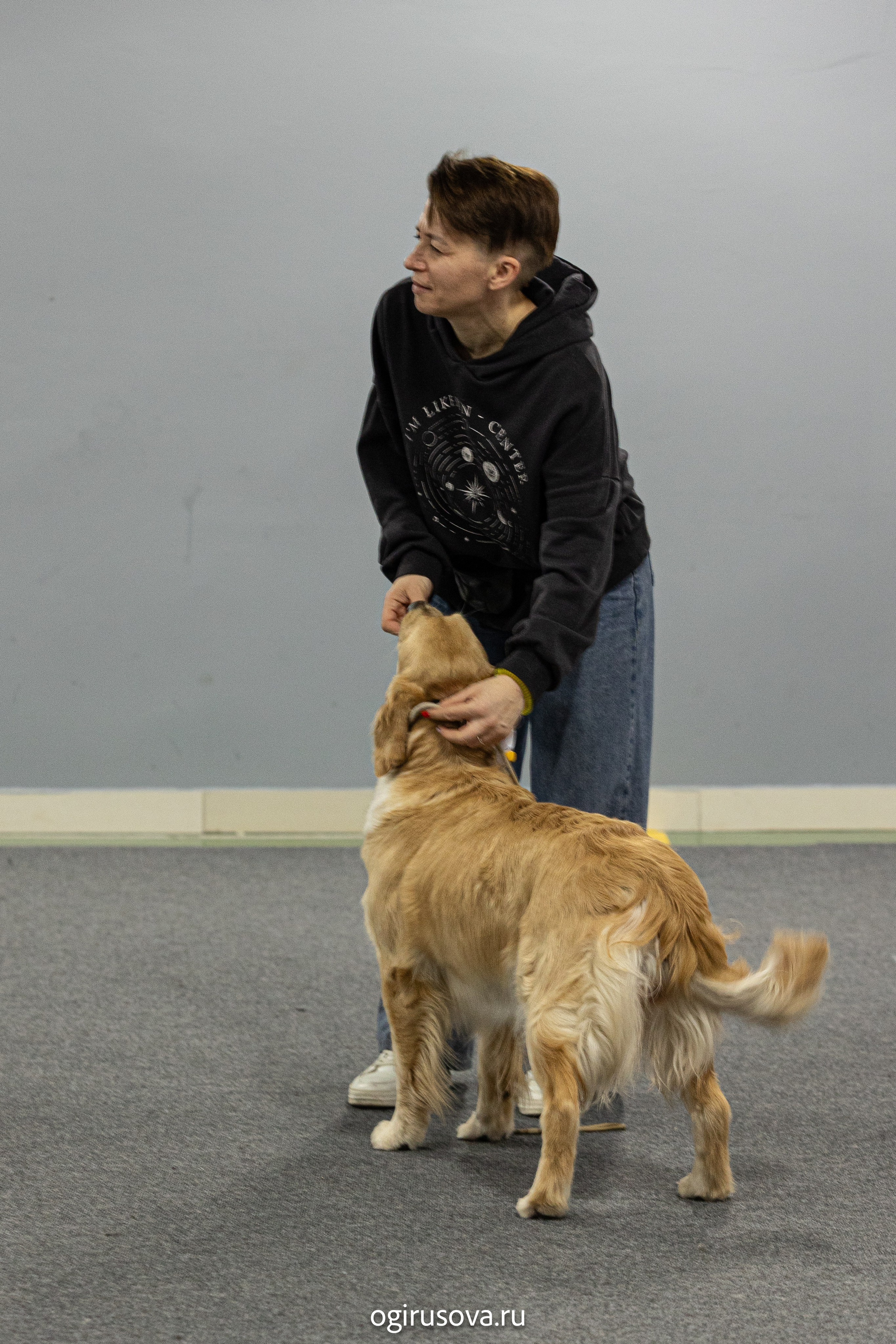 РОО КЛЖ «Олимп"+"Империя"+"Виктория».Выставка собак. Фотограф Ольга Гирусова «Пантерочка» Москва