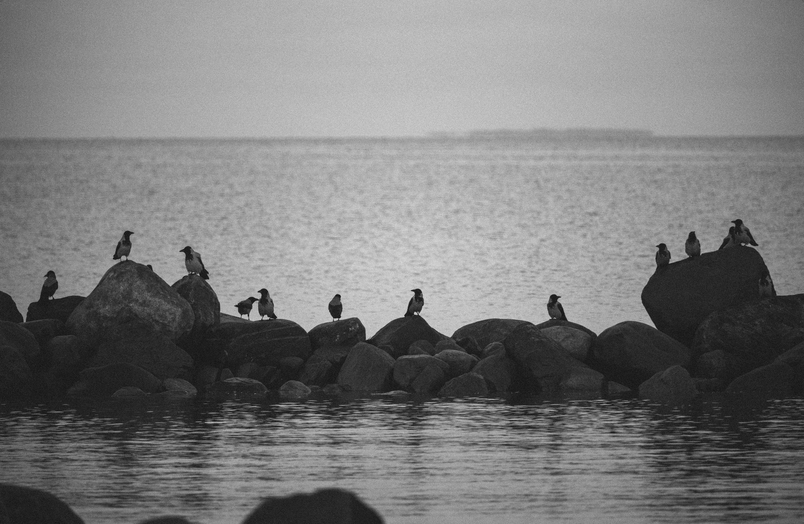 КАРЕЛИЯ / ОСЕНЬ. Создание контента | Фото | Видеосъемка | Александр Ярков