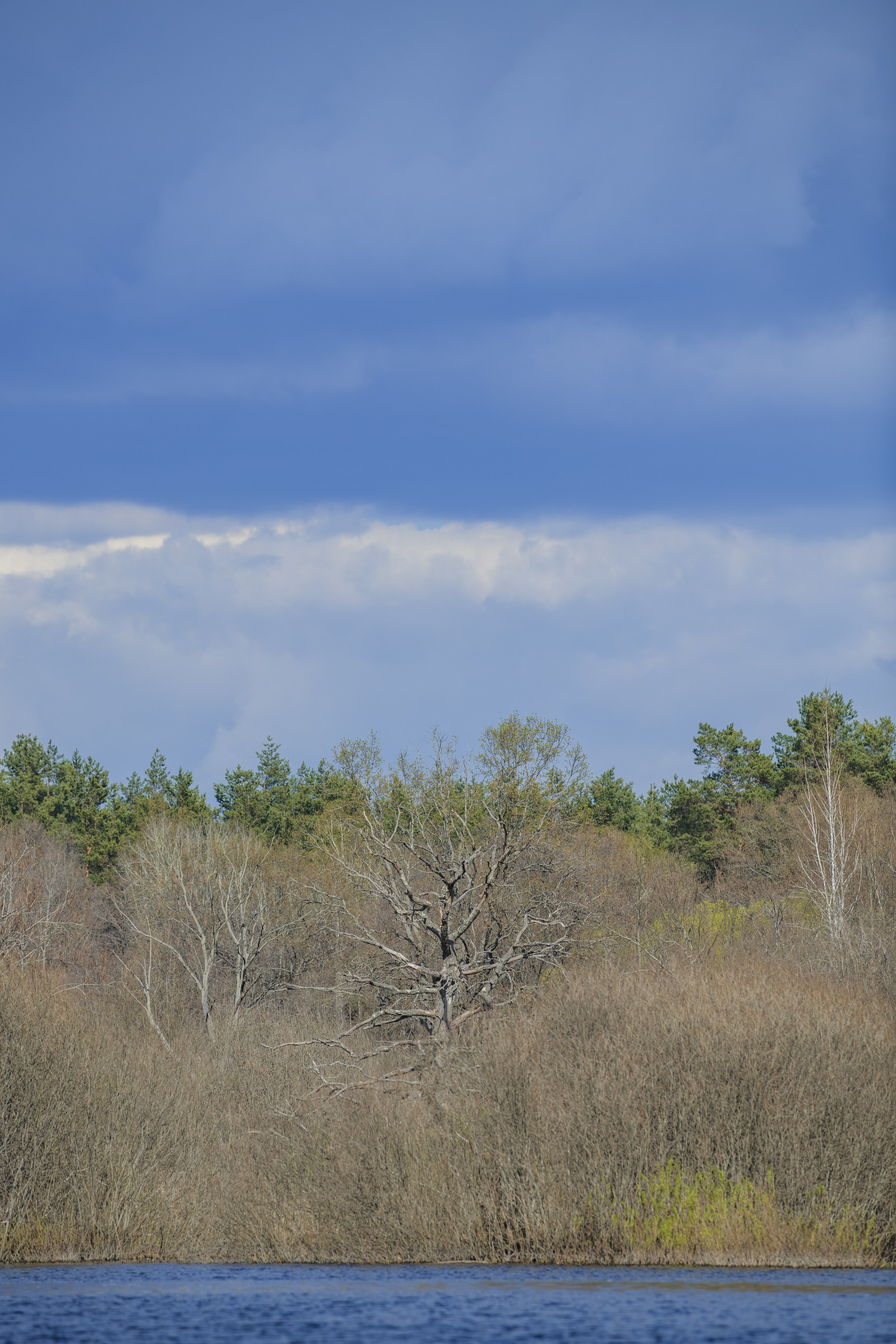 Водный поход 1-й кс по реке Случь. Репортажный фотограф Владимир Беляй