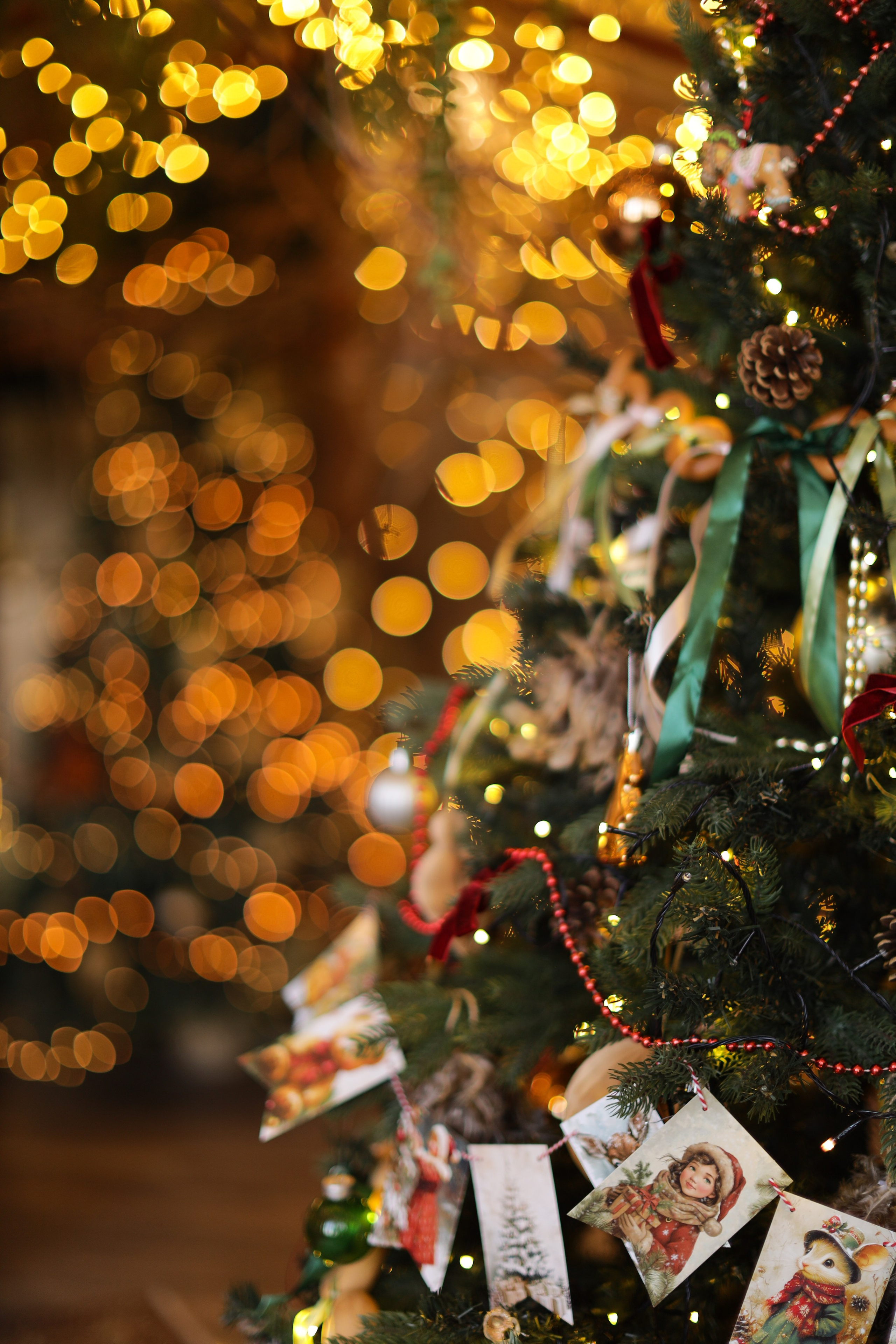 Фотостудия «Роял» зал Теплица. Свадебный фотограф в Ростове Александра Груздева