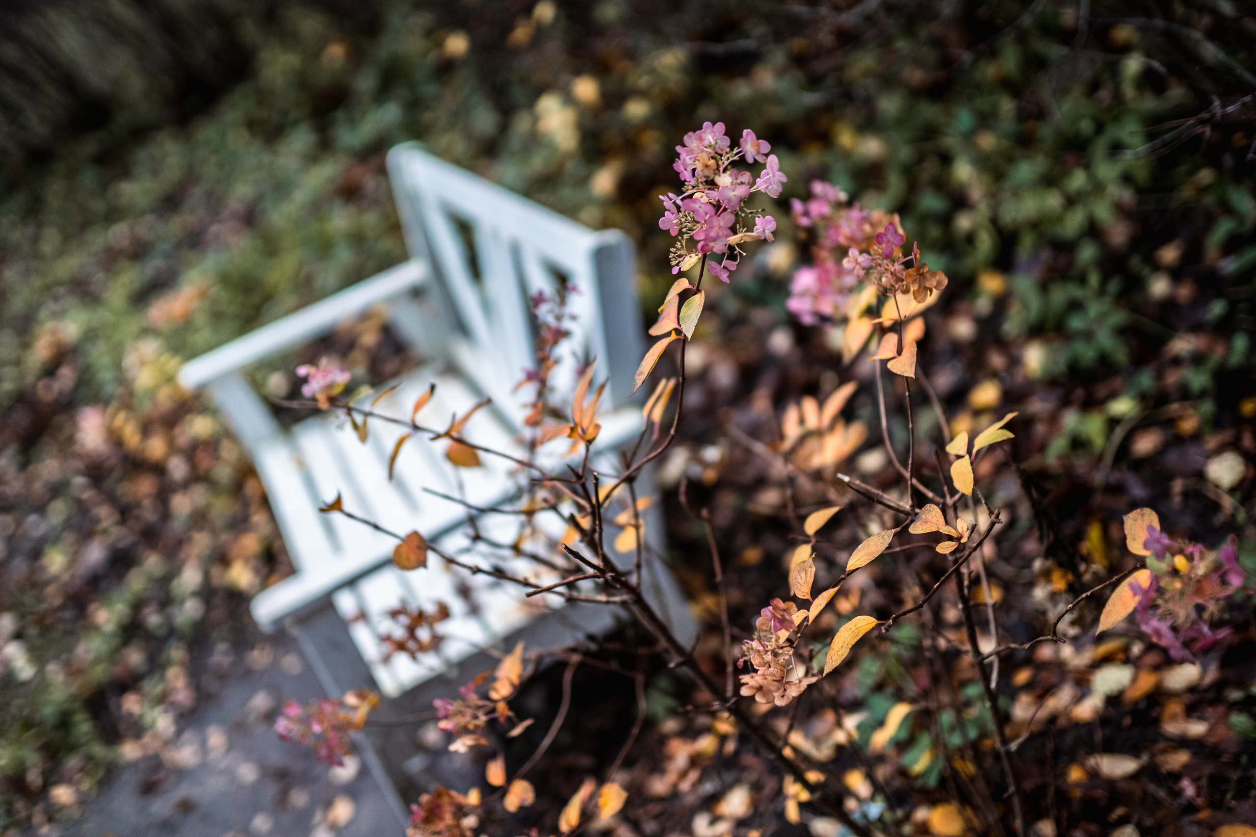 Фотокартины. Семейный фотограф Ирина Ильиных-Вольная в Москве и не только