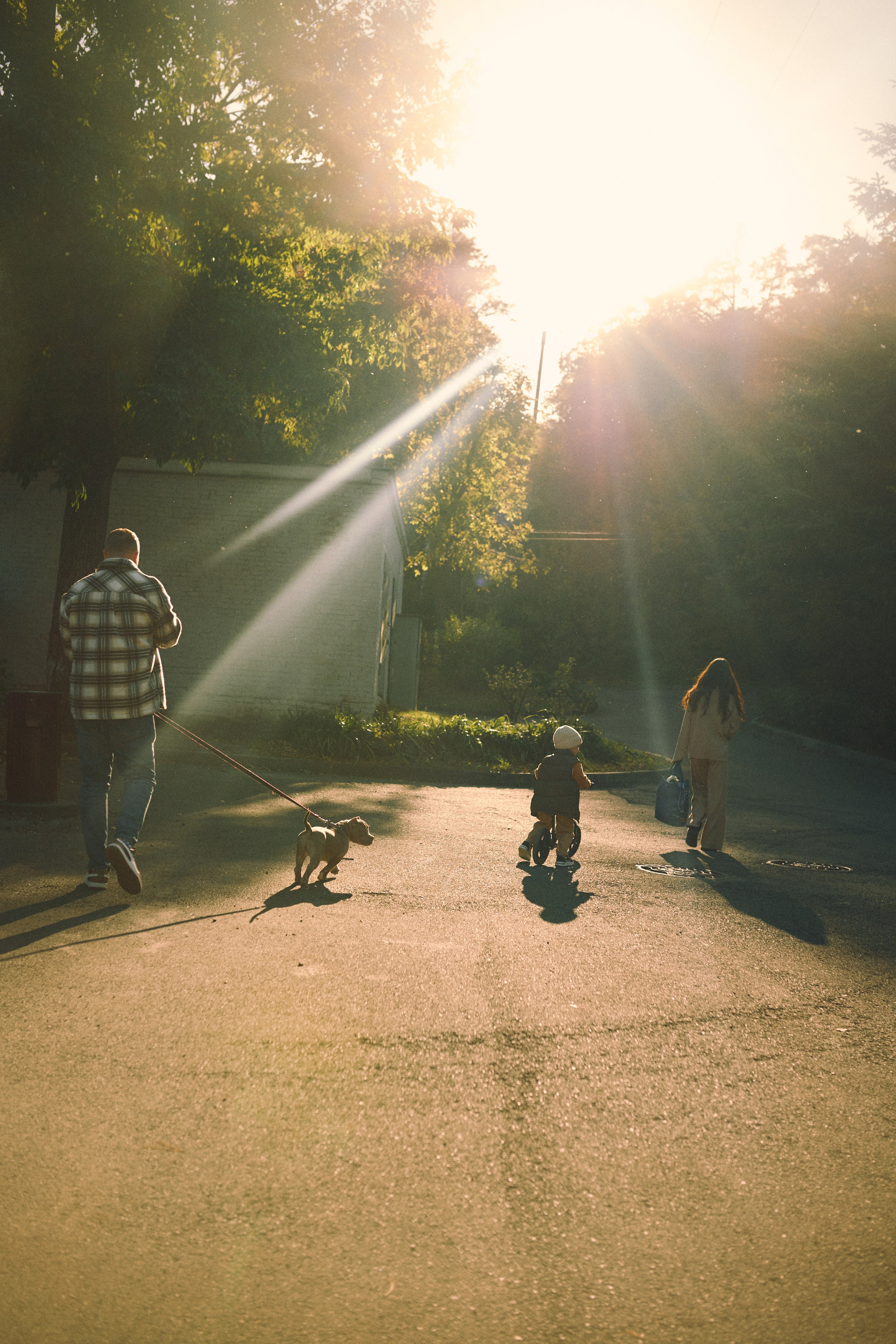 Парк осенью. Фотограф Ионова Анастасия, г Владивосток