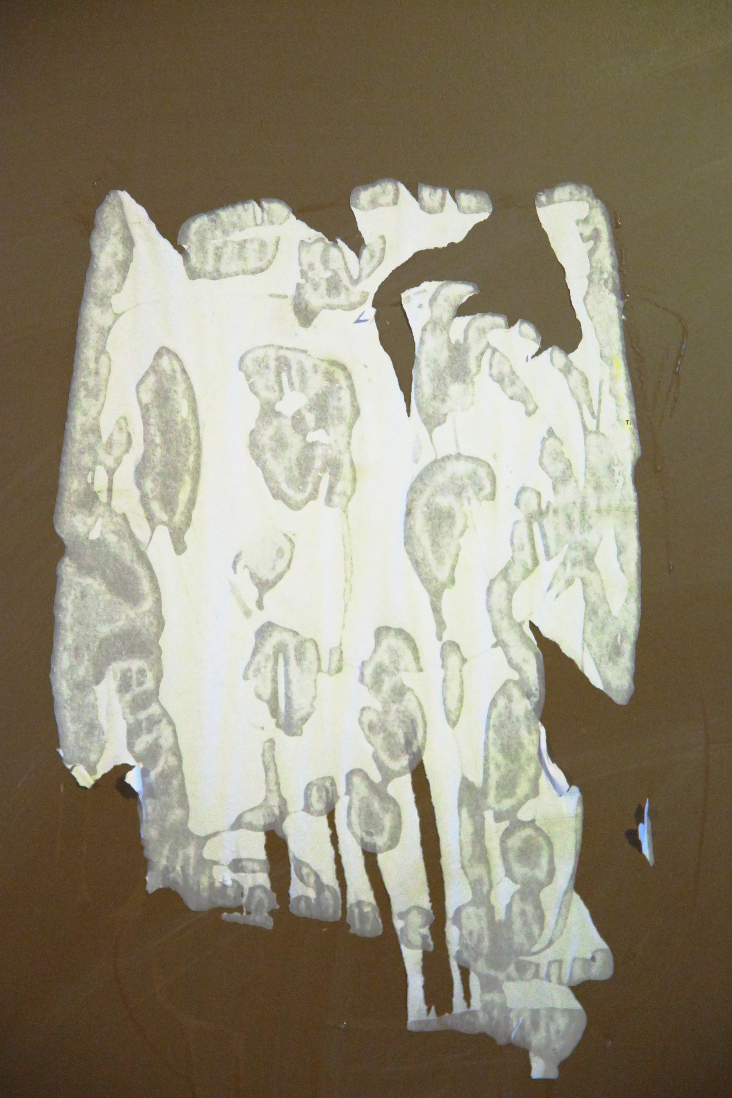 Стены. Миша Печёнкин | фотография