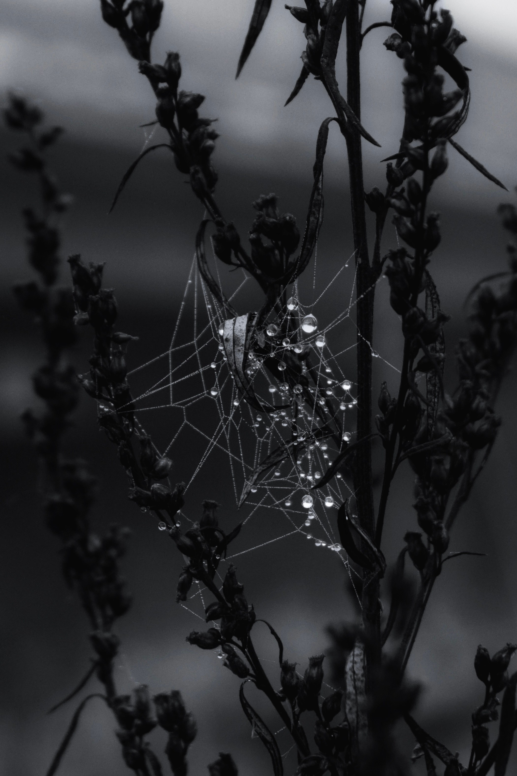 Портфолио. Фотограф в Москве