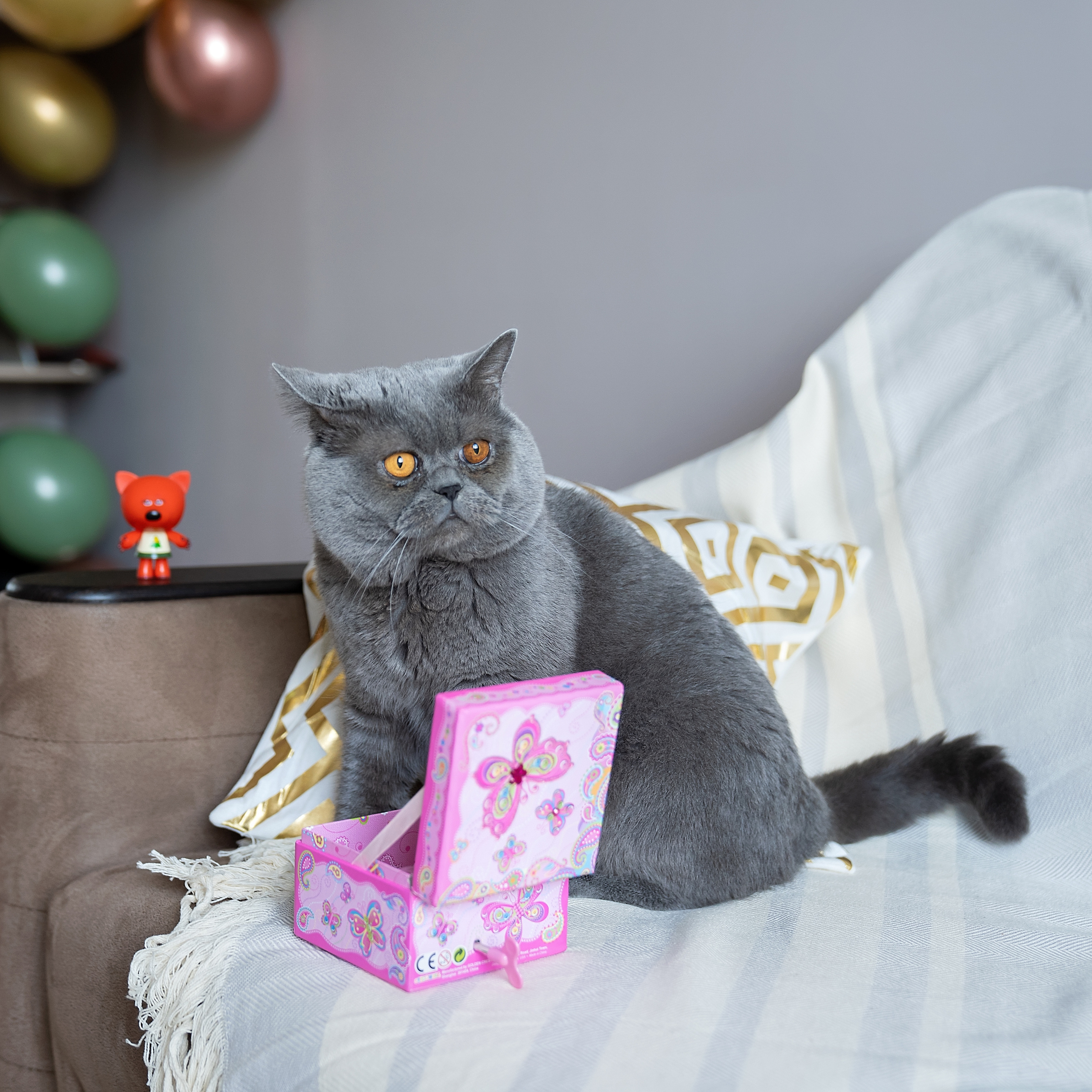 День рождения маленькой Евы!. Главная