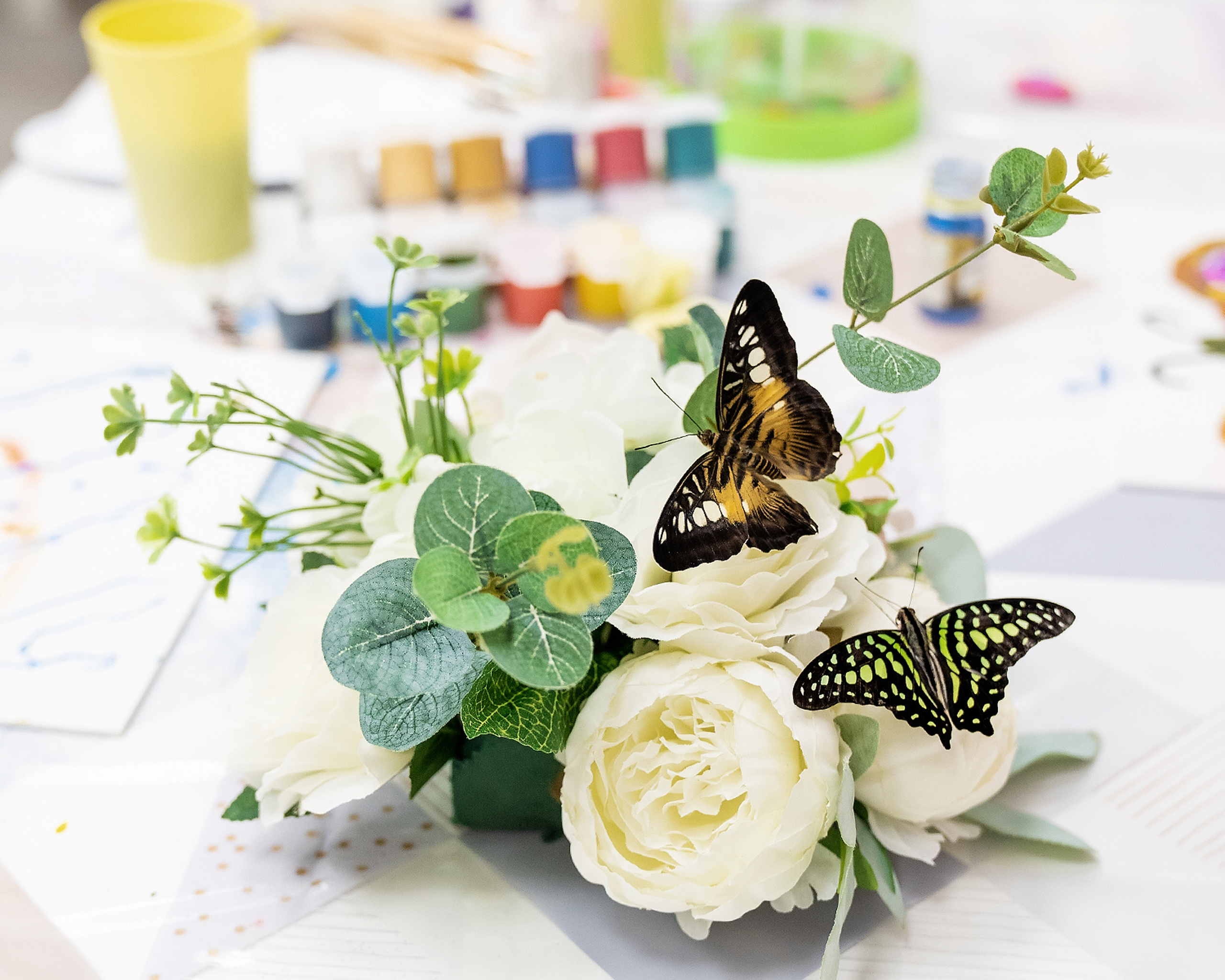 Домми Открытие. Главная