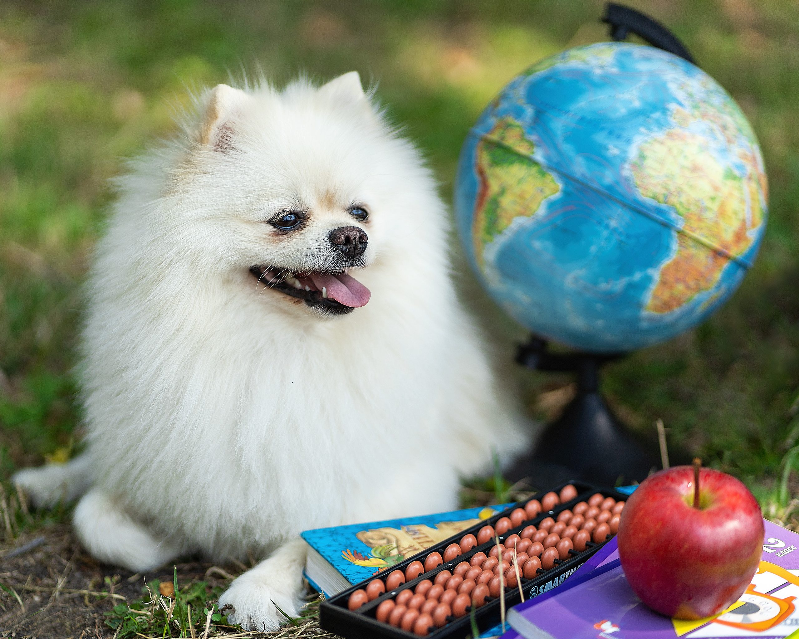 Первоклашка. Главная