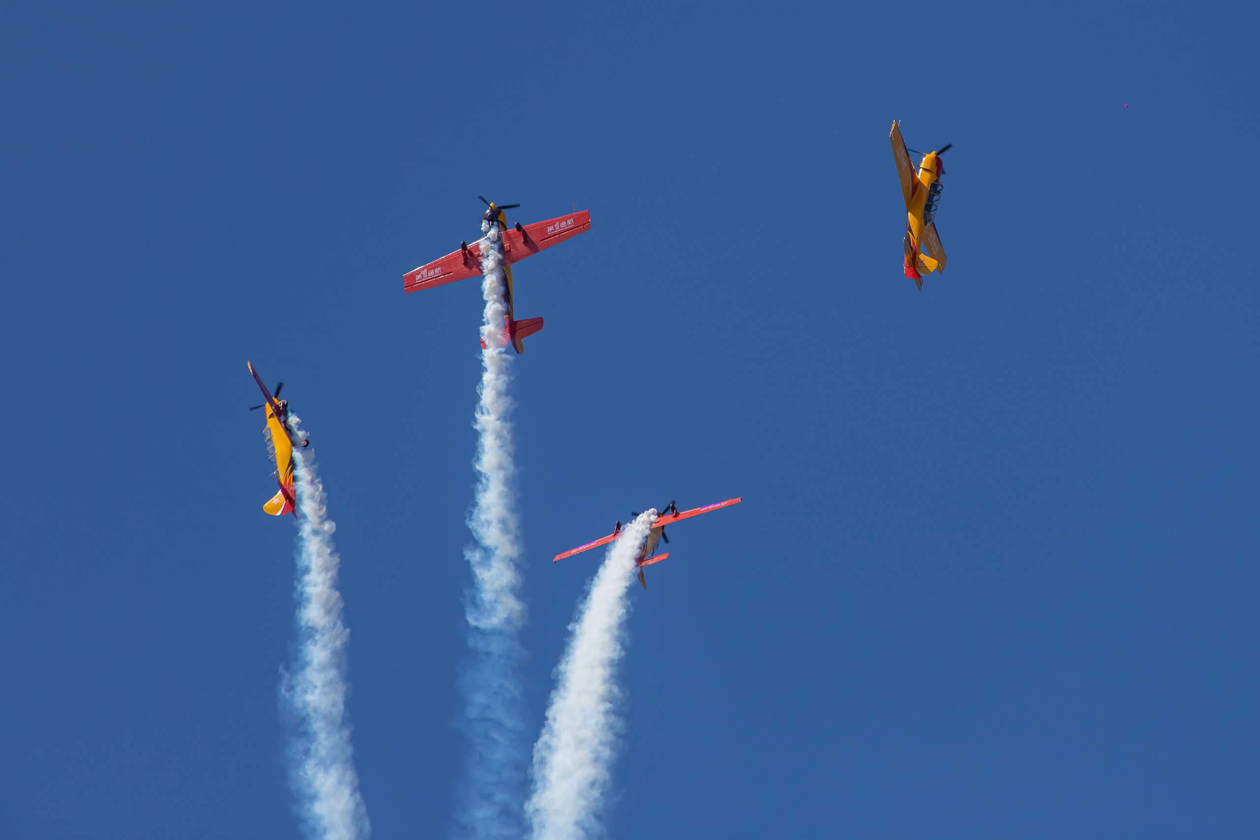 Крылья Пармы 2025 г. KATERINA VINOKUROVA ФОТОГРАФ ПЕРМЬ