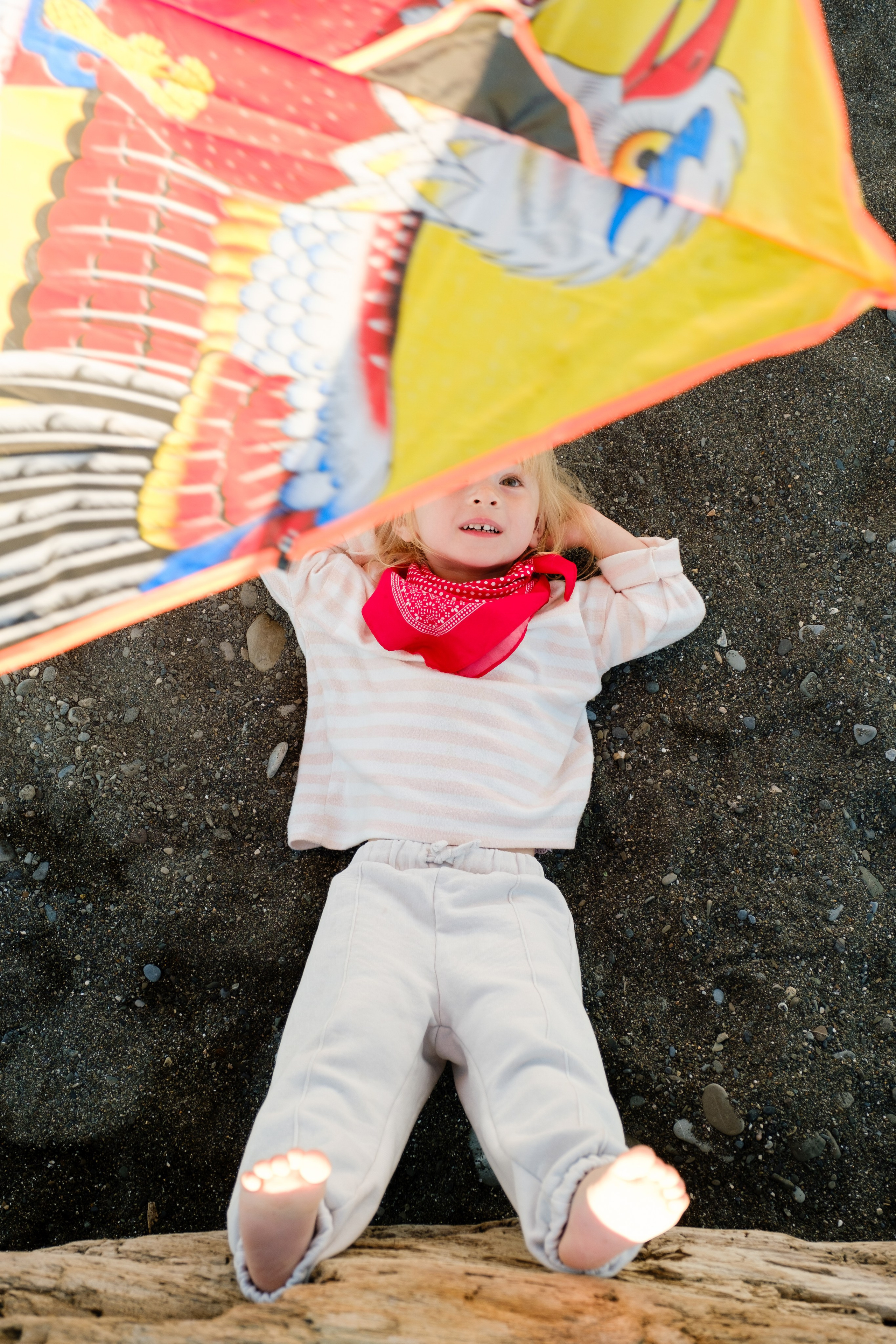 Воздушный змей. Свадебный Видеограф Фотограф в Сочи
