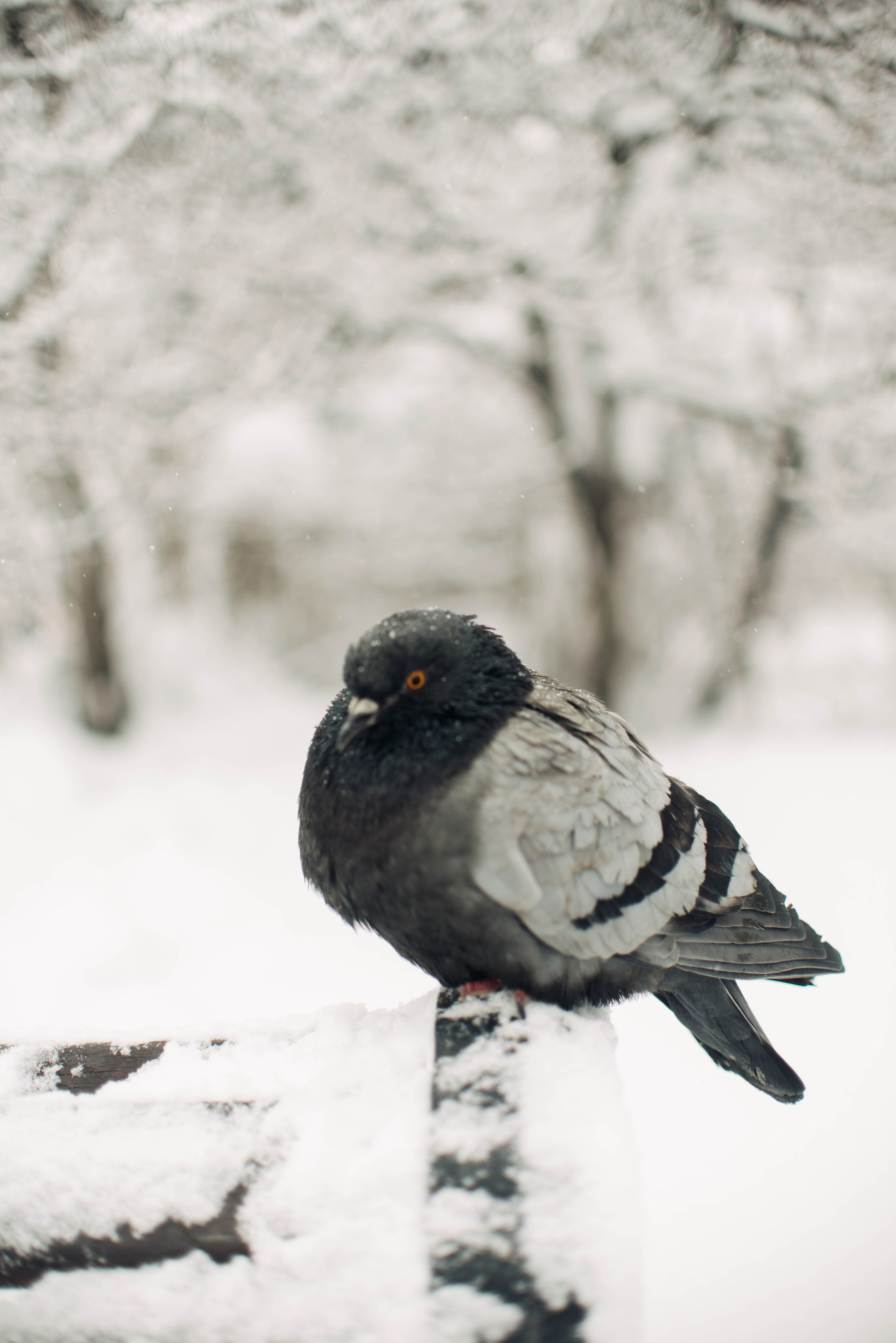 Мурманск, Териберка. Главная