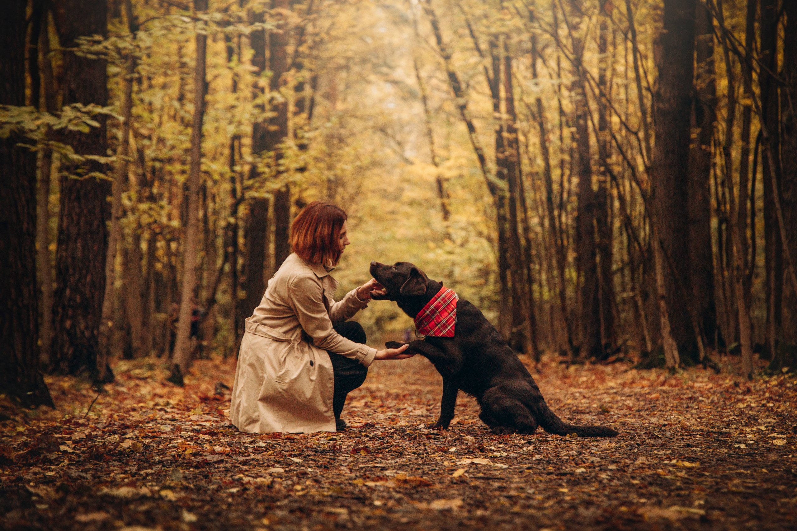 Арина и Сэмми. Фотограф — Анималист | Санкт-Петербург