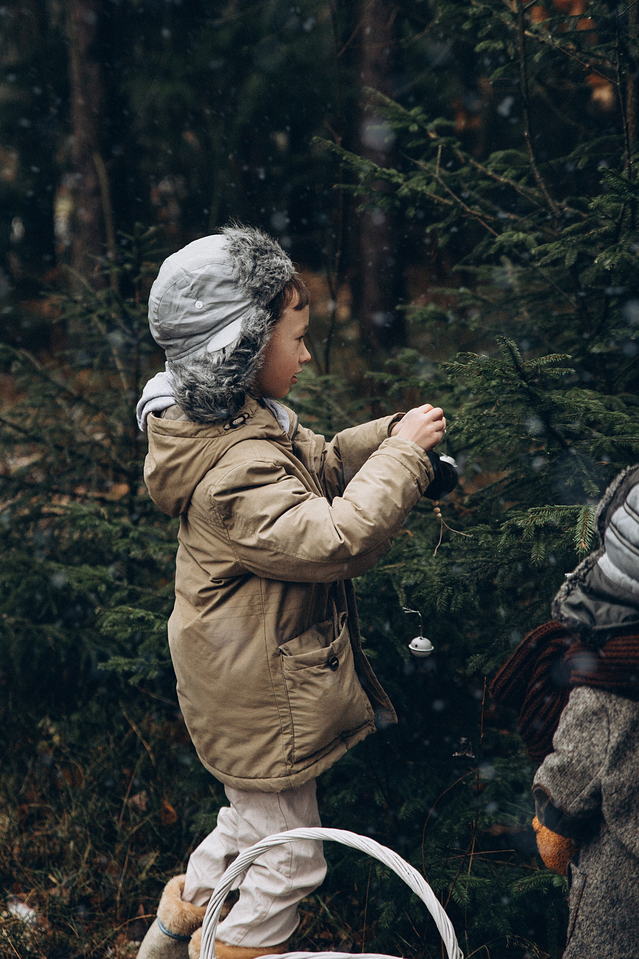 Елка в лесу. Репортажный и детский фотограф в Минске