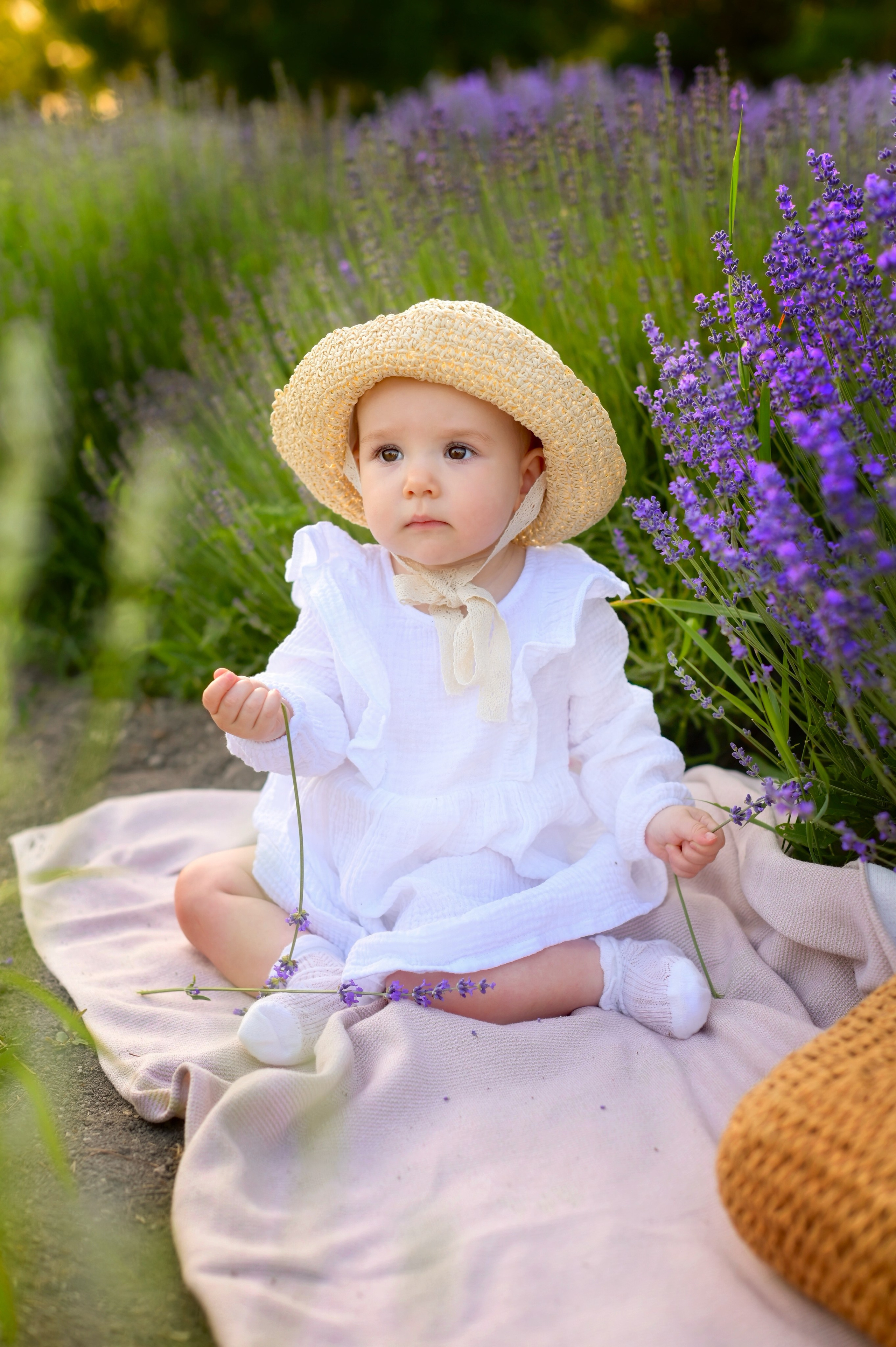 Лаванда. Семейный и детский фотограф Анапа