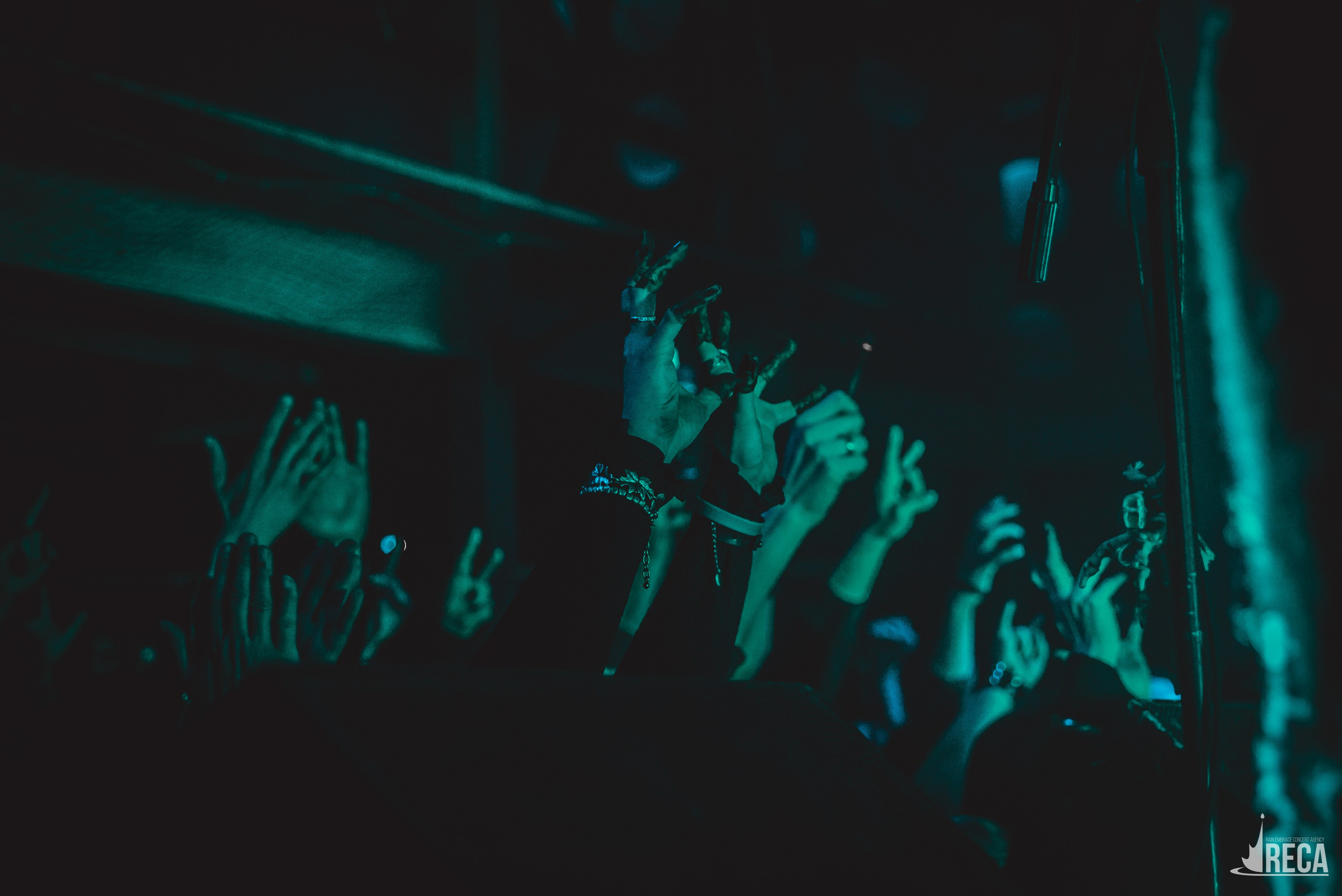 Vspolokh. Kate Vader|Live Music Photography