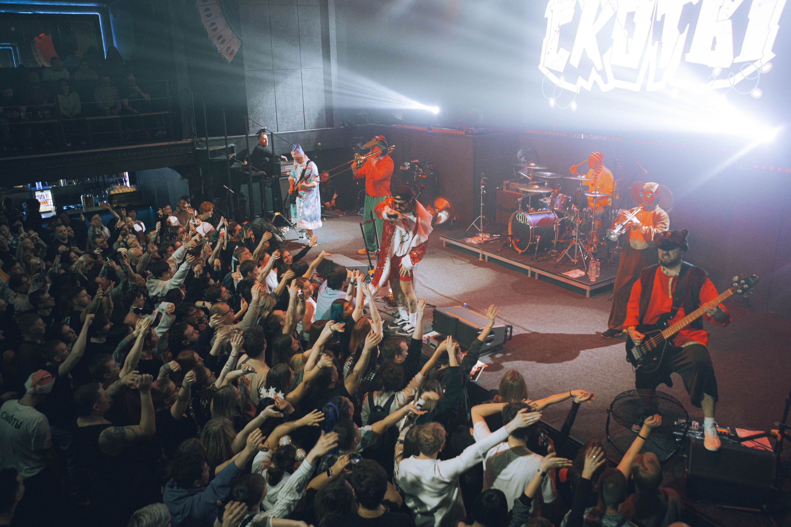 СКОТЫ 20.12.2025. Репортажный и портретный фотограф Михаил Мартиросян