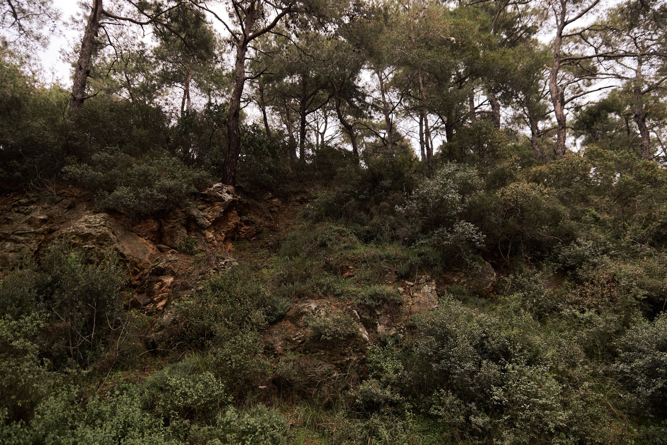 Улица горизонтальная. Jorgis — фотограф в Хургаде / обучение фотографии