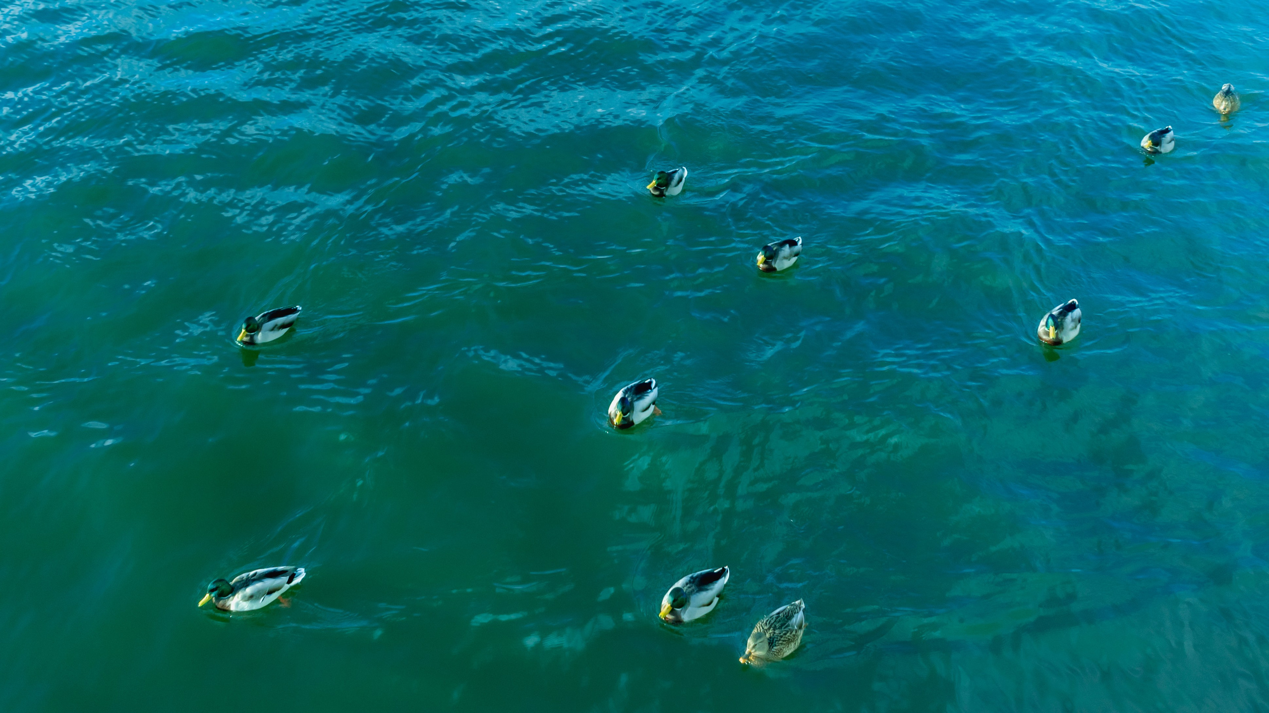 Чебоксары. Фотограф в Набережных Челнах Мари Сенчик