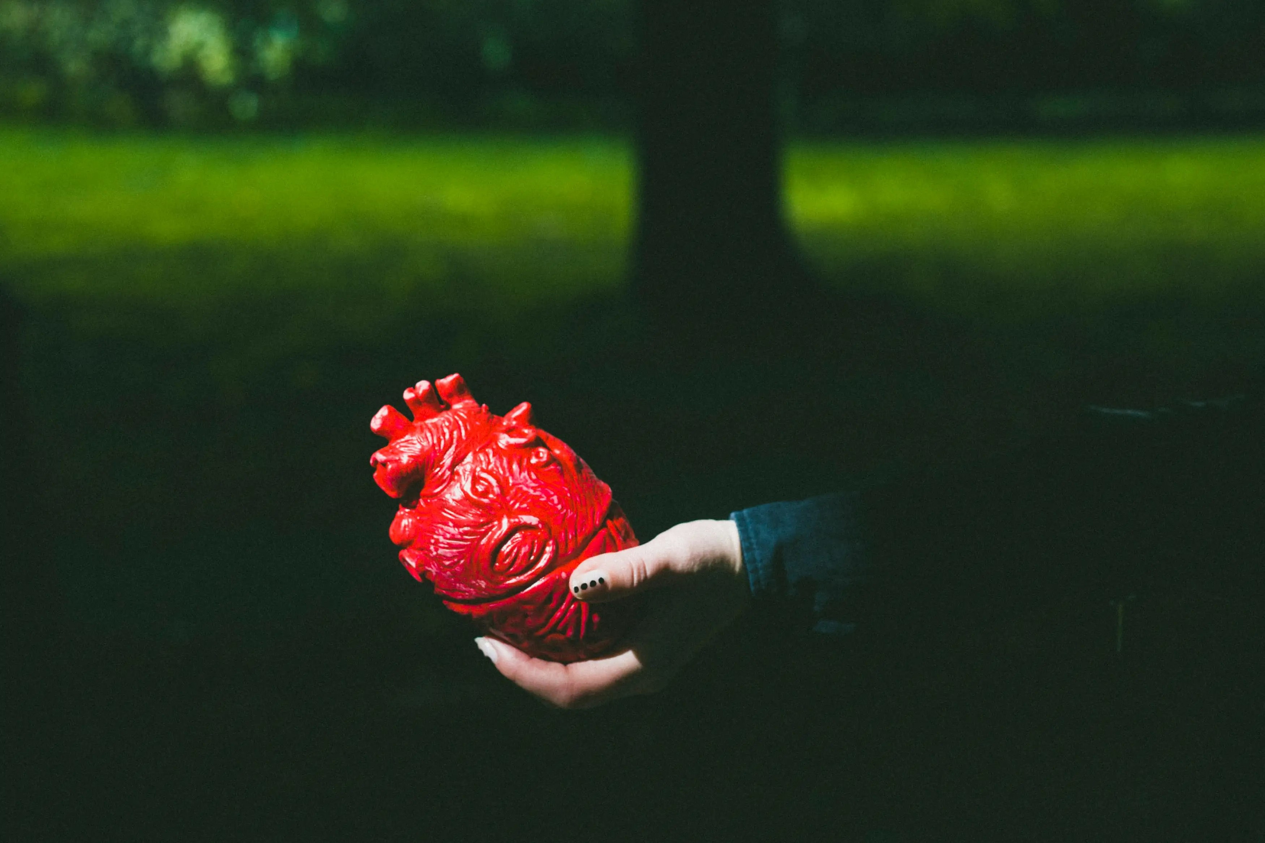 Алекс. Фотограф Александра Степанова