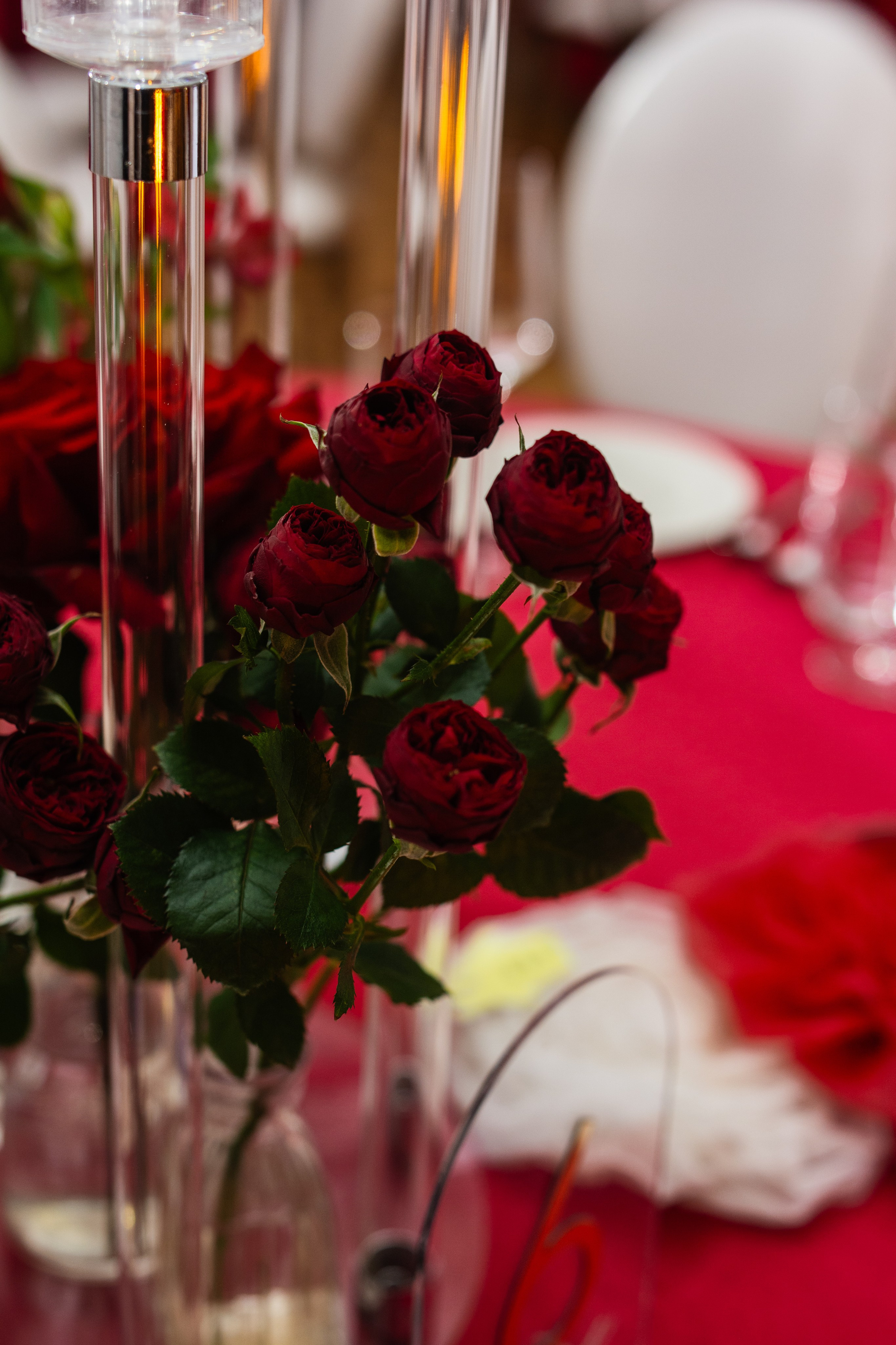 Благотворительный концерт «Твори Добро». Фотограф в Москве Ангелина Ким