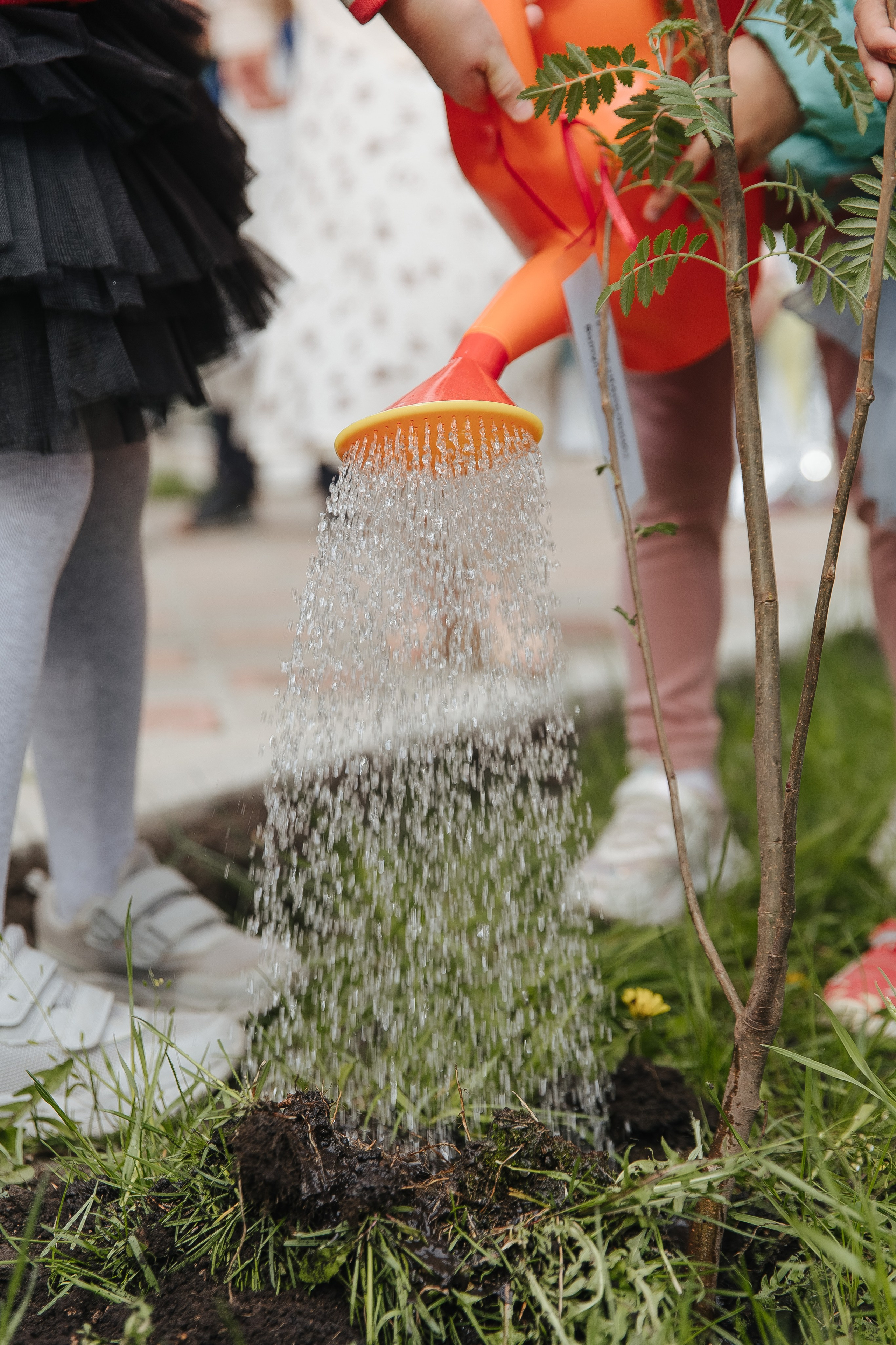 Выпускной в детском саду. Фотограф в Красноярске Любовь Малеева