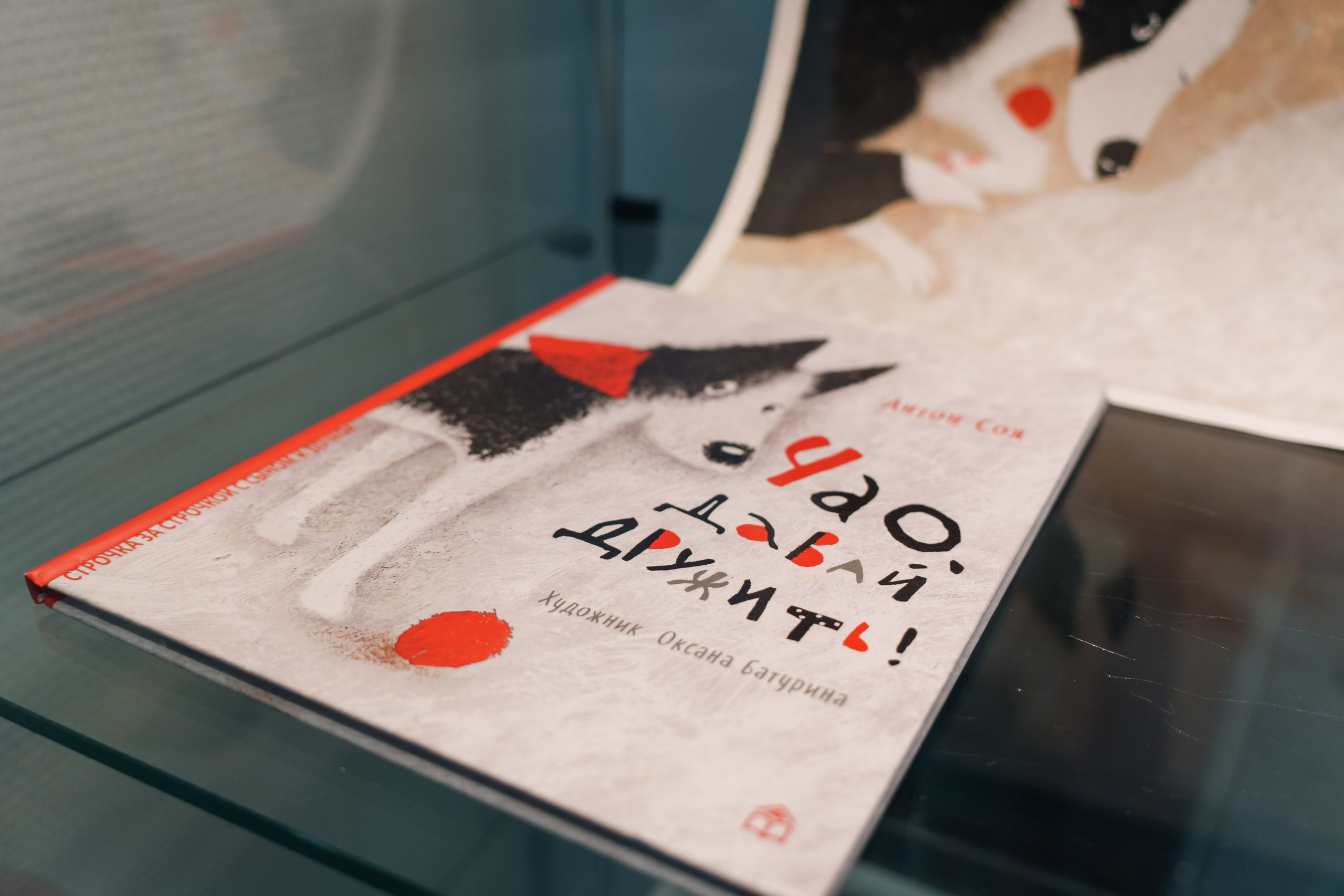 Открытие 11 фестиваля анималистики «Зооарт». Фотограф в Санкт-Петербурге Ибрагимова Алина