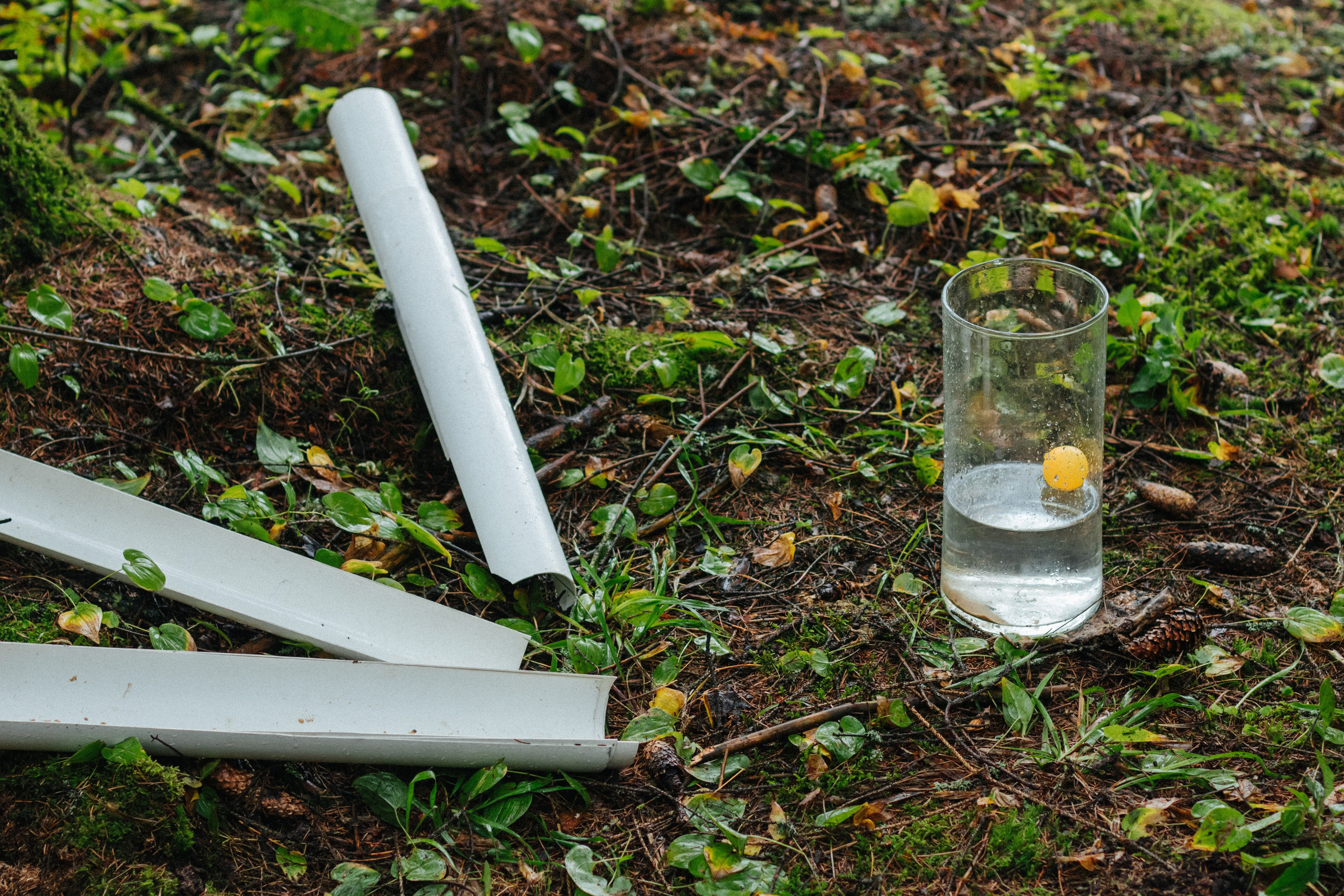 Детские мероприятия (квесты, лагеря, вечеринки). Коммерческий фотограф в Санкт-Петербурге (СПб) Екатерина Панчёха, Панчёшка