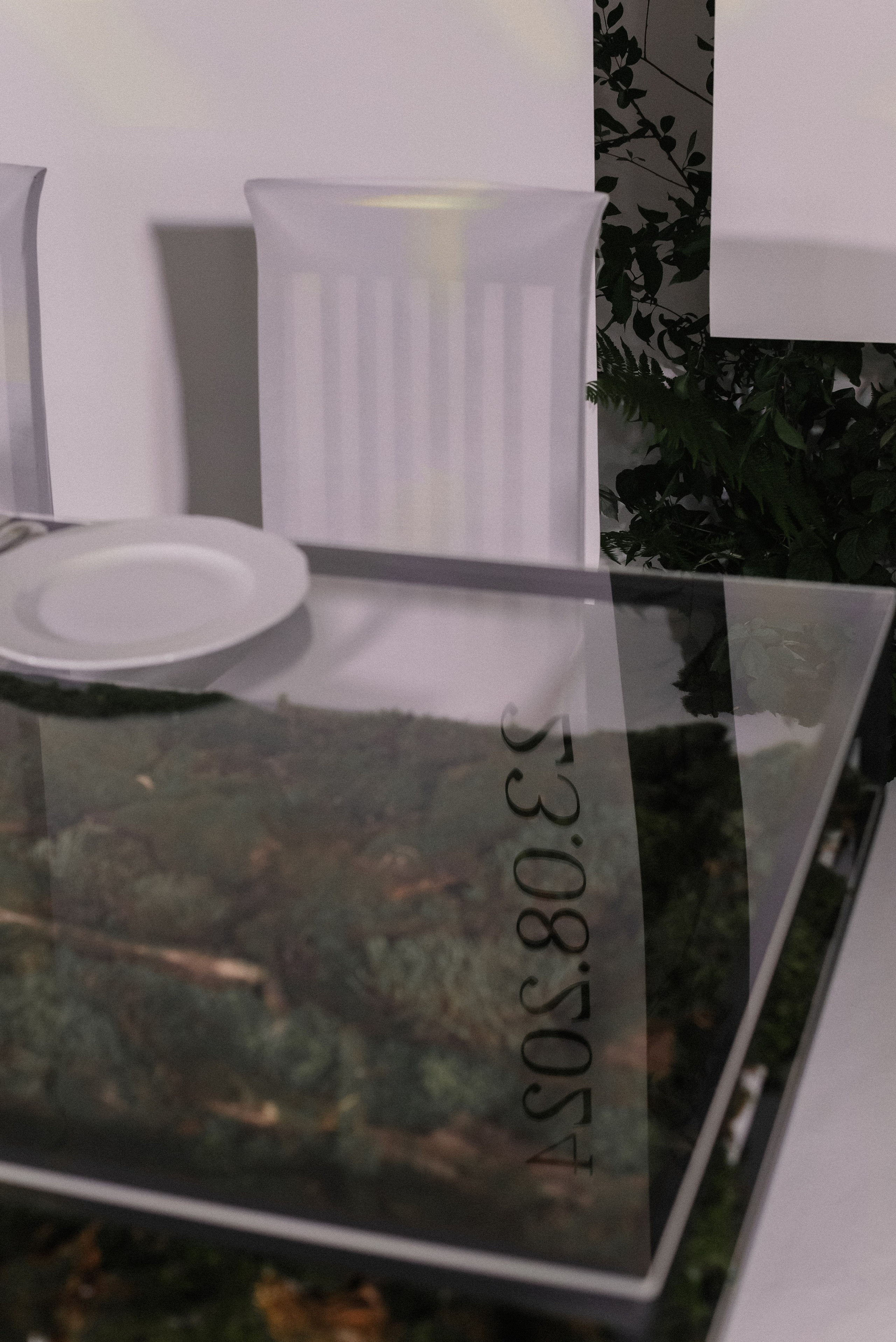 Василий и Екатерина