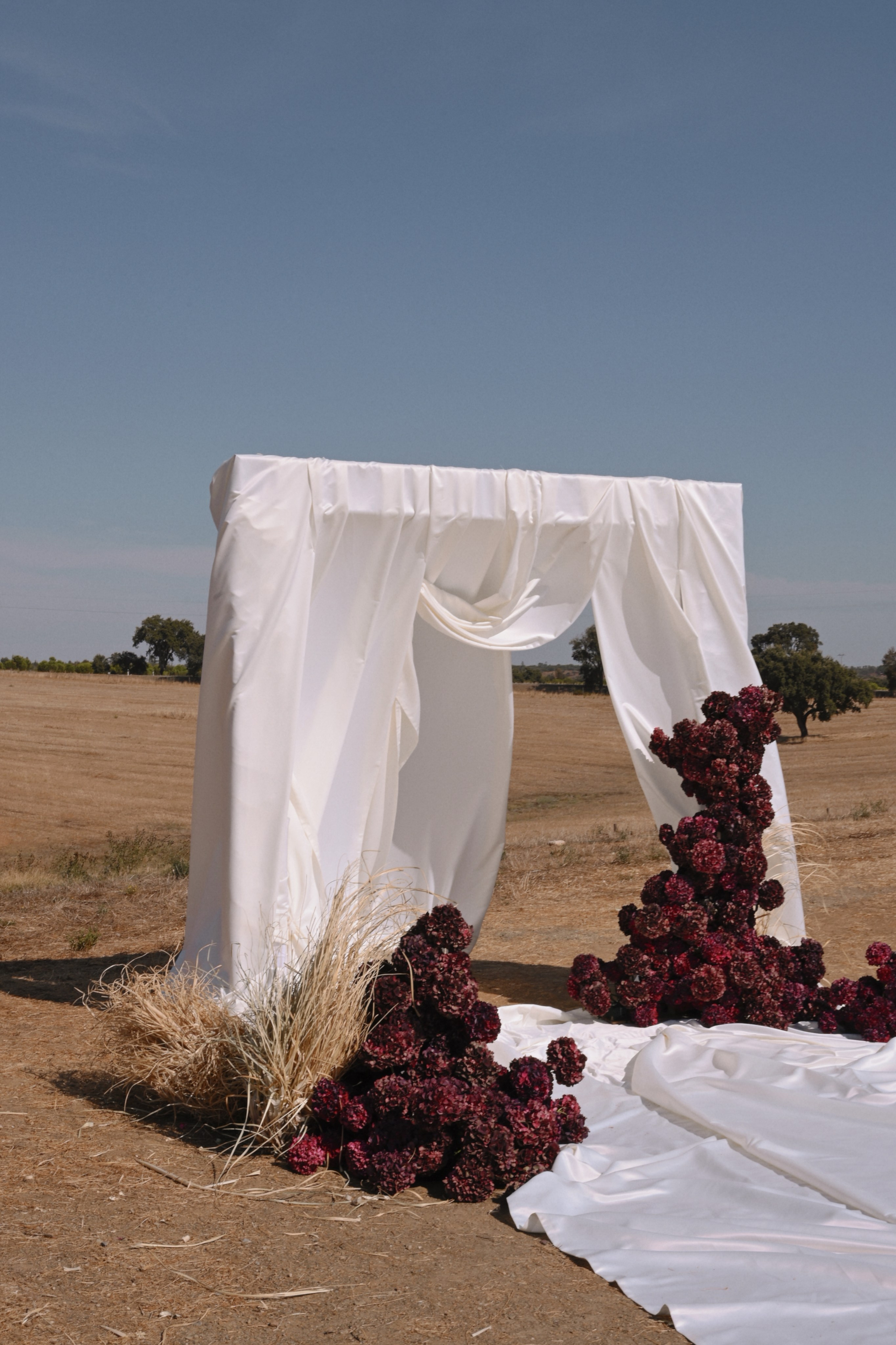 Events. Rimma Kim | photo | video | content creation