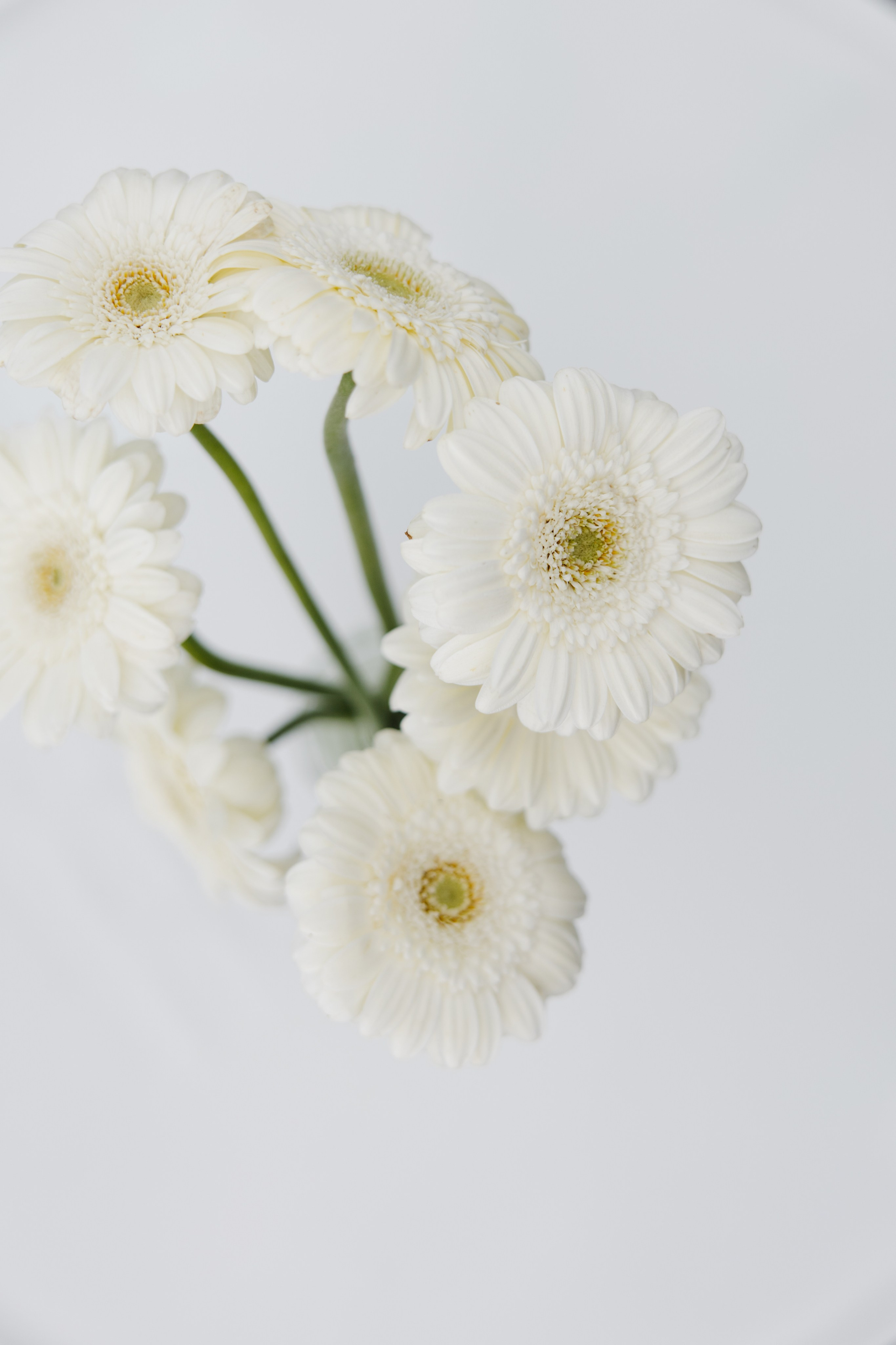 ГЕНДЕР ПАТИ. Фотограф в Красноярске