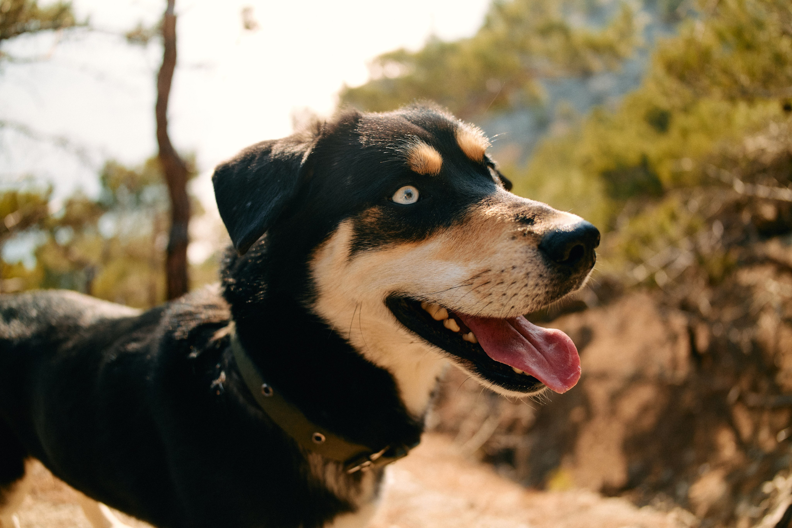 Юг России. Профессиональный Фотограф во Владимире, в Москве и в Суздале — Полина Романычева