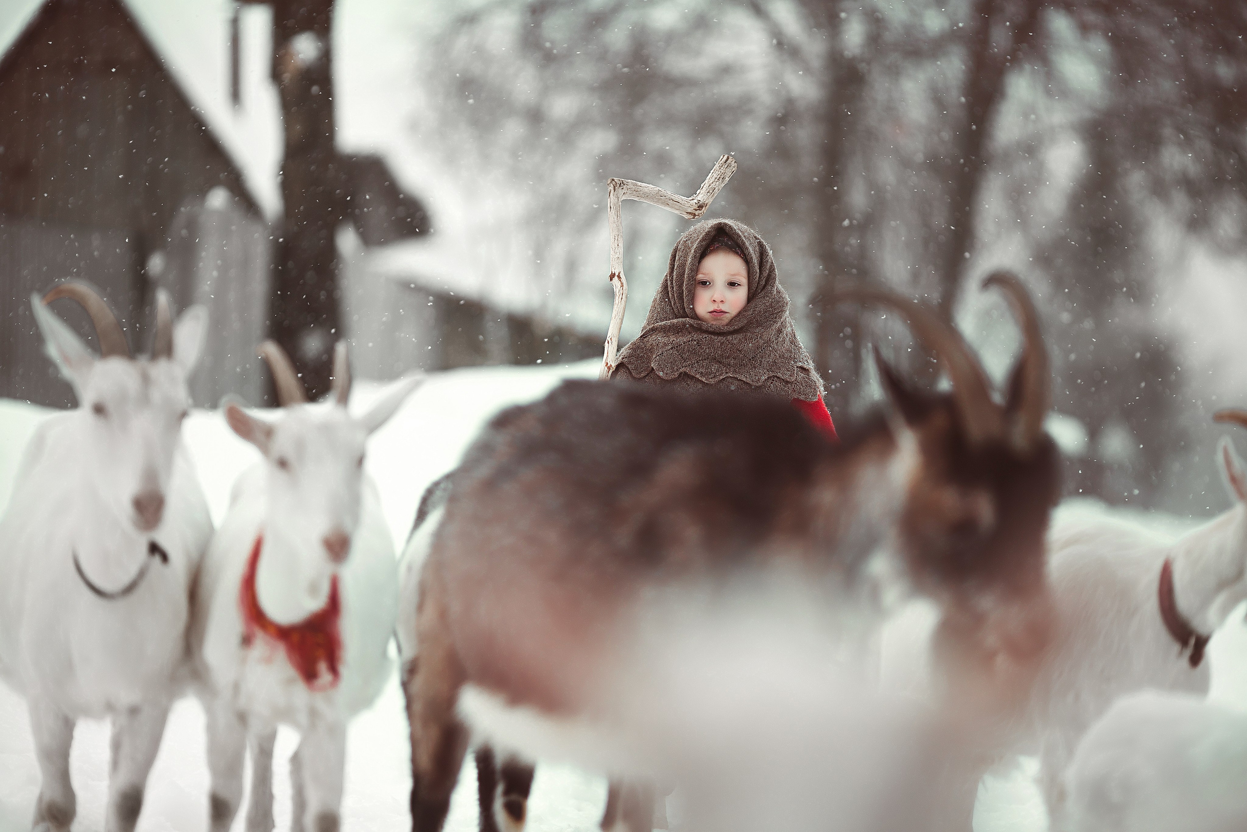 Дети. Фотограф Александр Калинин