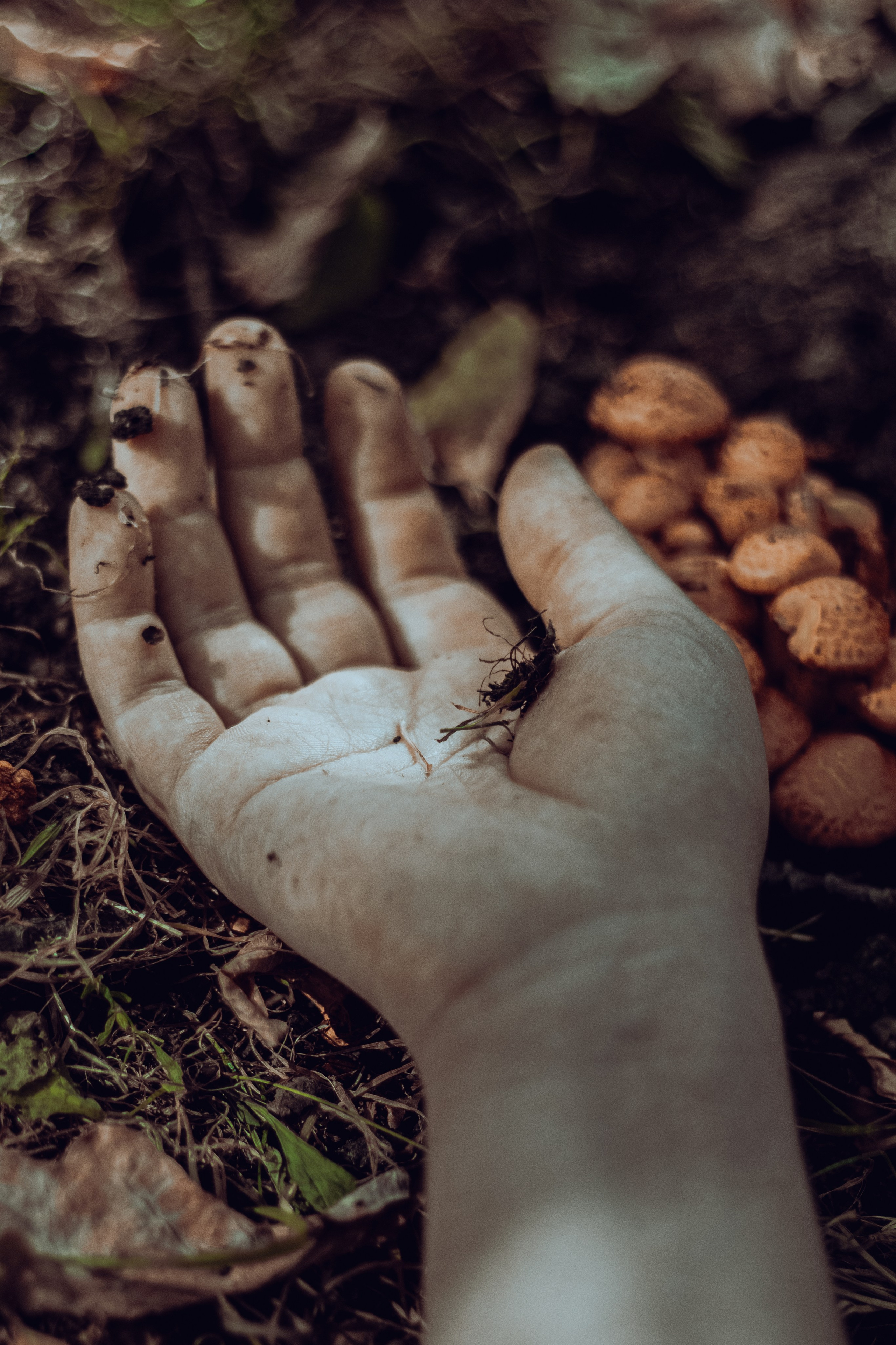 По мотивам убийства. В парке. Фотограф Москва, портрет, стрит, репортаж. Художественная фотосессия