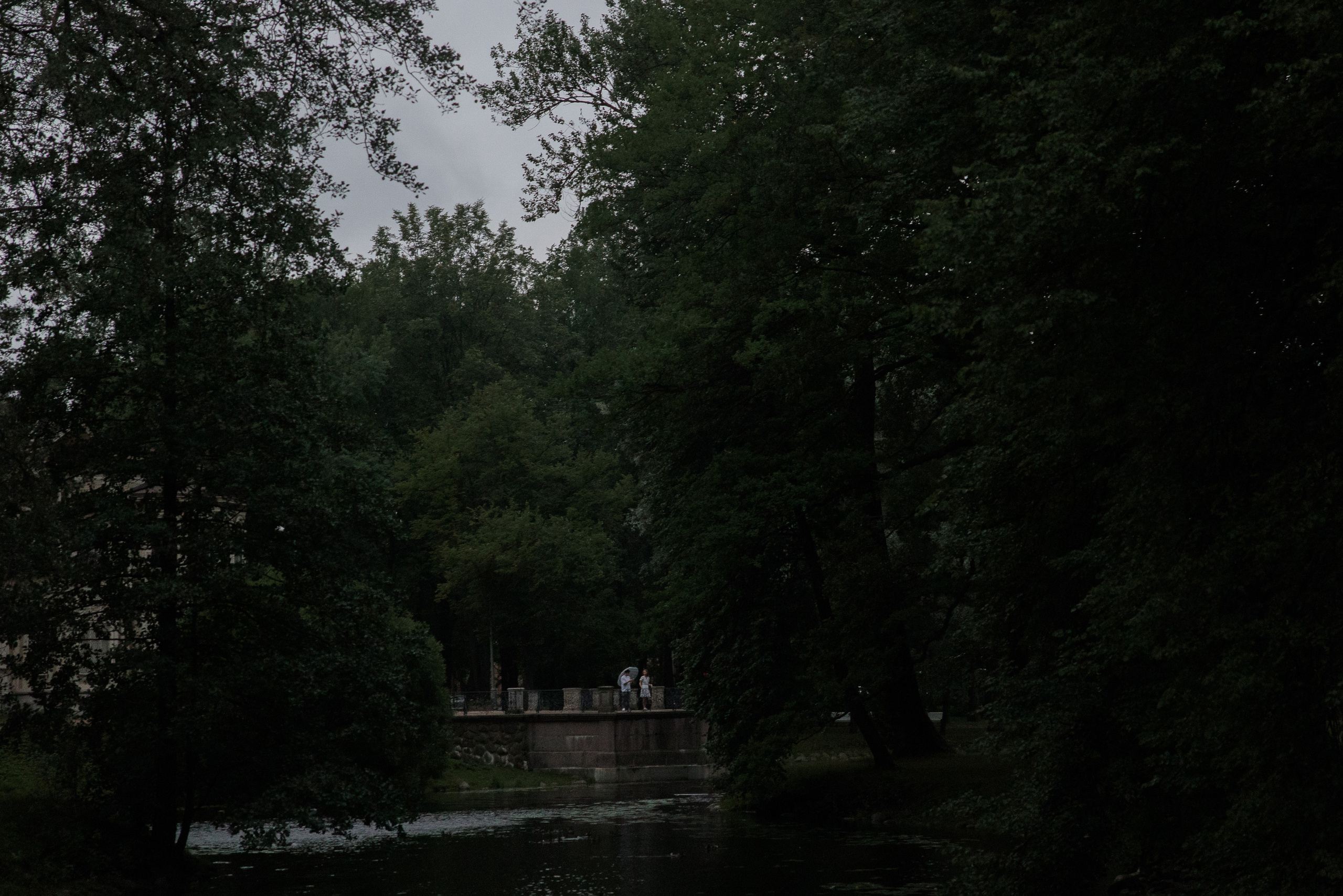 Петроградка FM. Wed Photographers 📷 Saint Petersburg