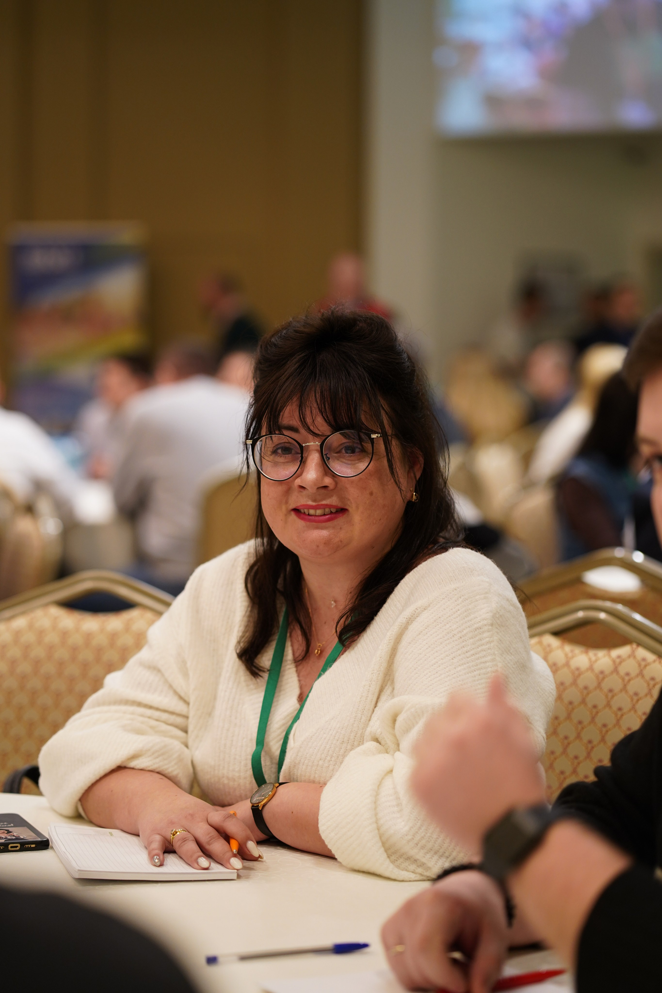 Малоэтажная страна конференция. Фотограф