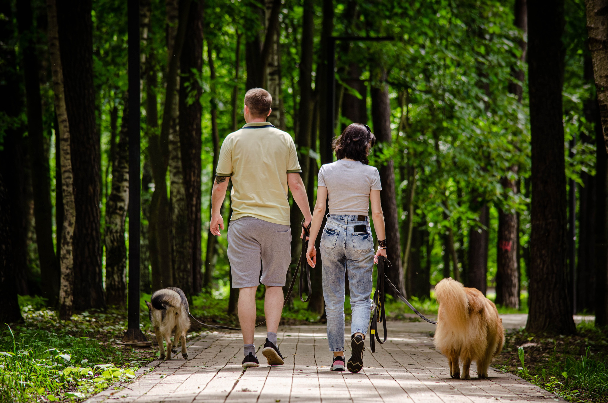 Мира и Чиж. Фотограф Светлана Блинова, Москва и Московская область