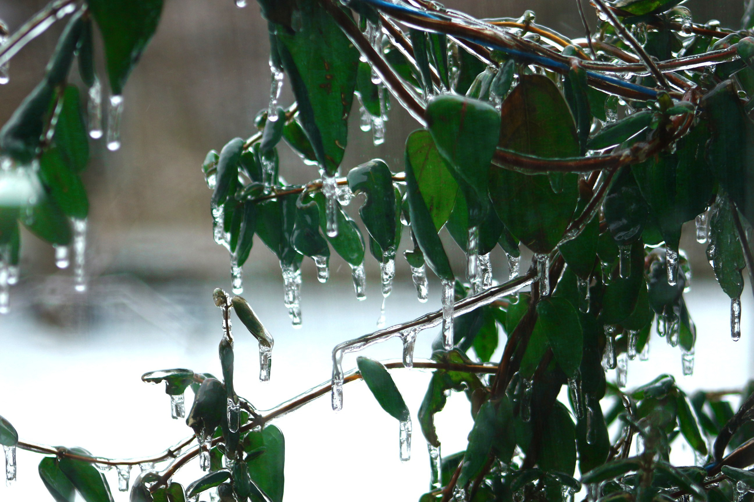 Пейзажи. Фотограф из Донецка Александр Турко