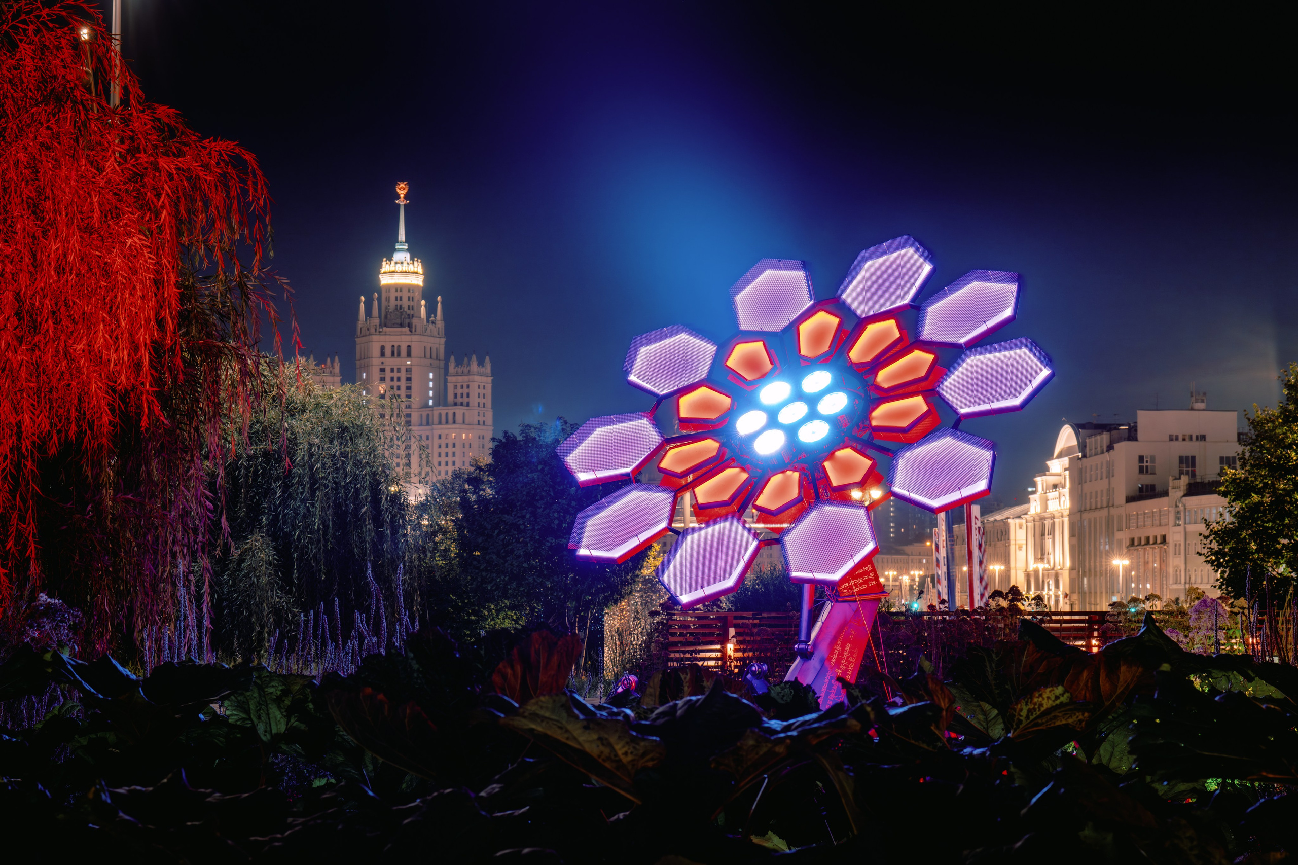 PANTERRA, Cyber Flower. @tomrus: Рустам Шагиморданов — фотограф