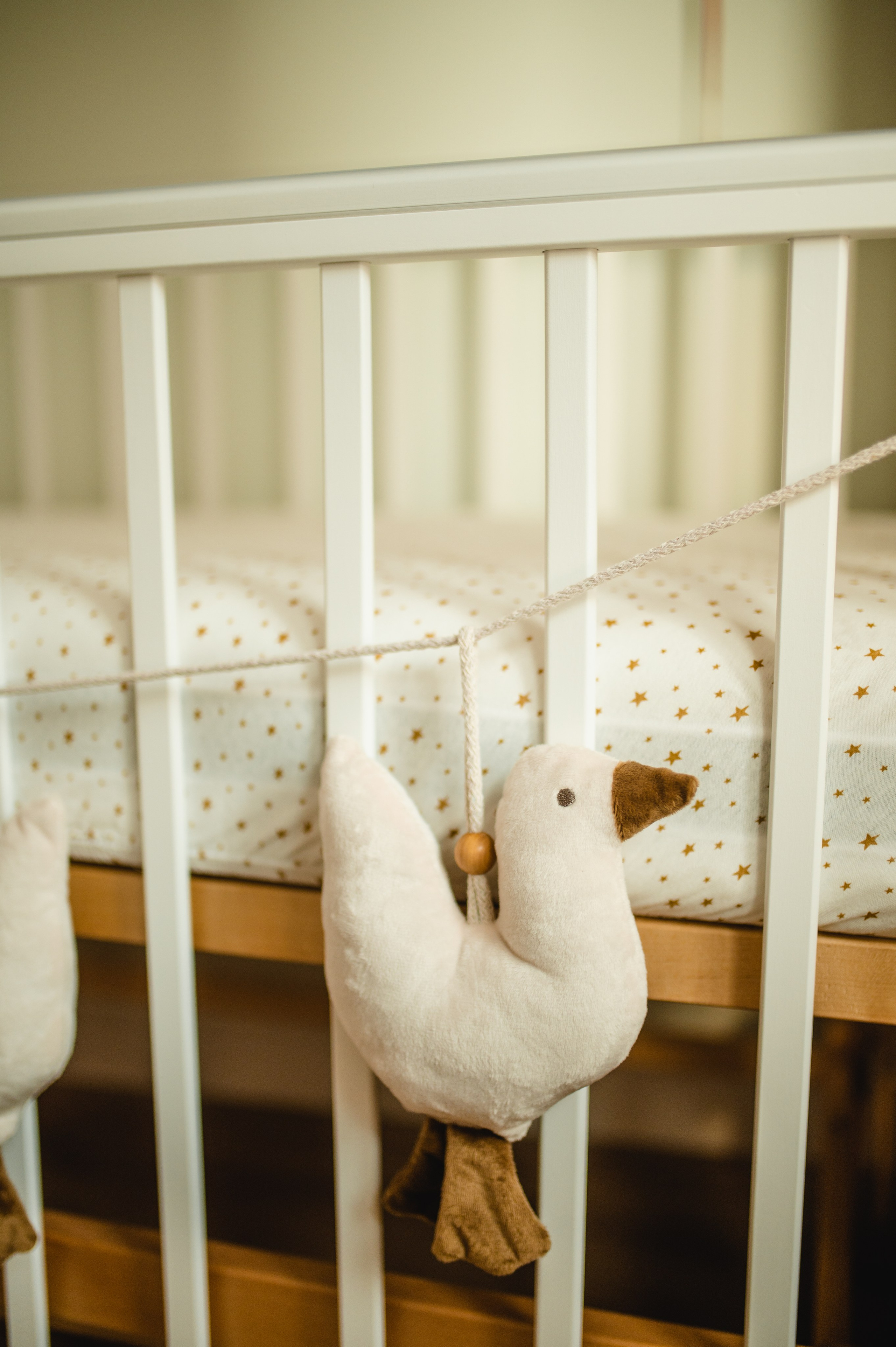 Фотограф малышей Восточное Бутово. Семейная фотосессия Бутово Москва фотограф Алина Морщагина